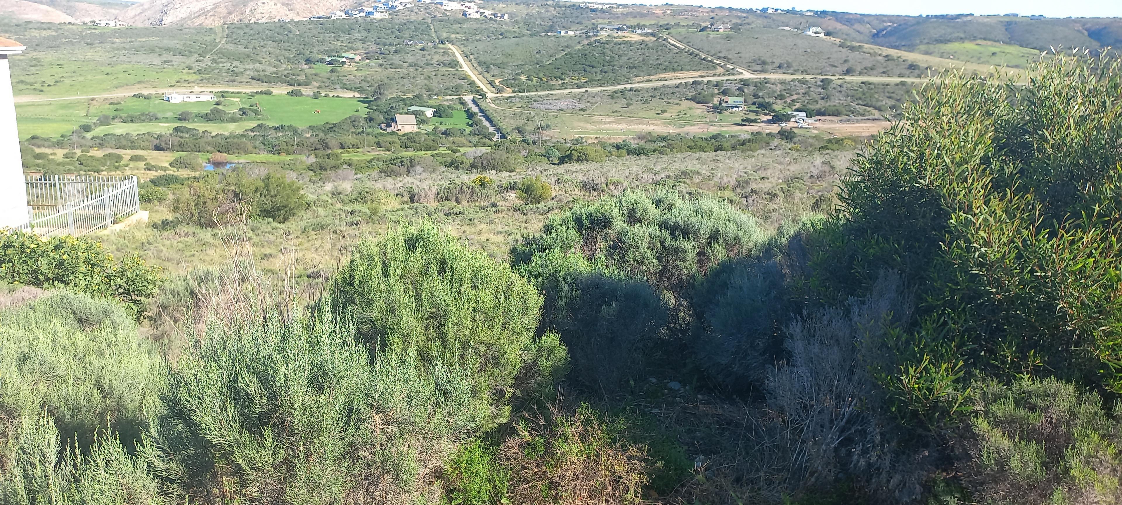 Image 10
