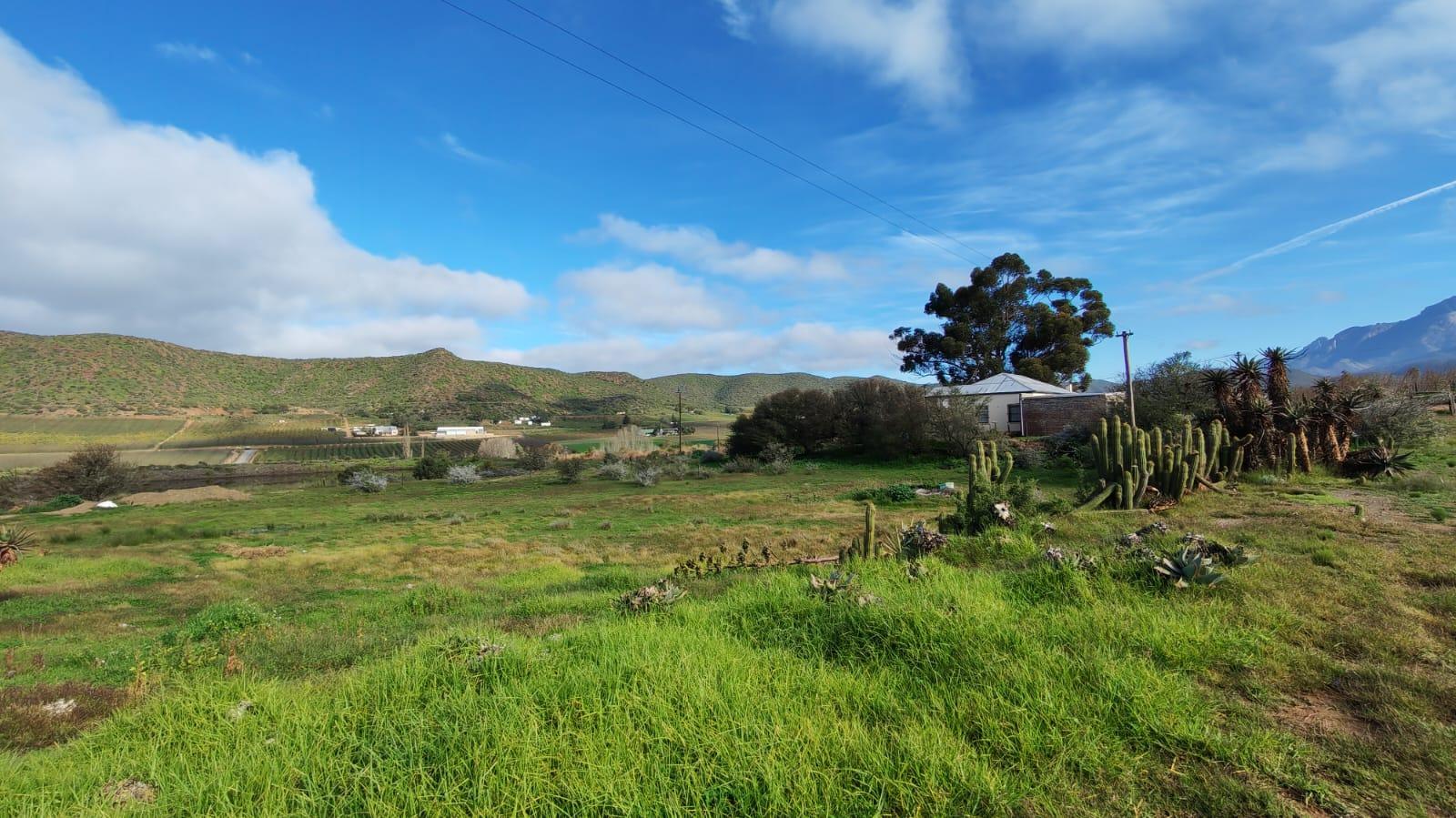 Image 13