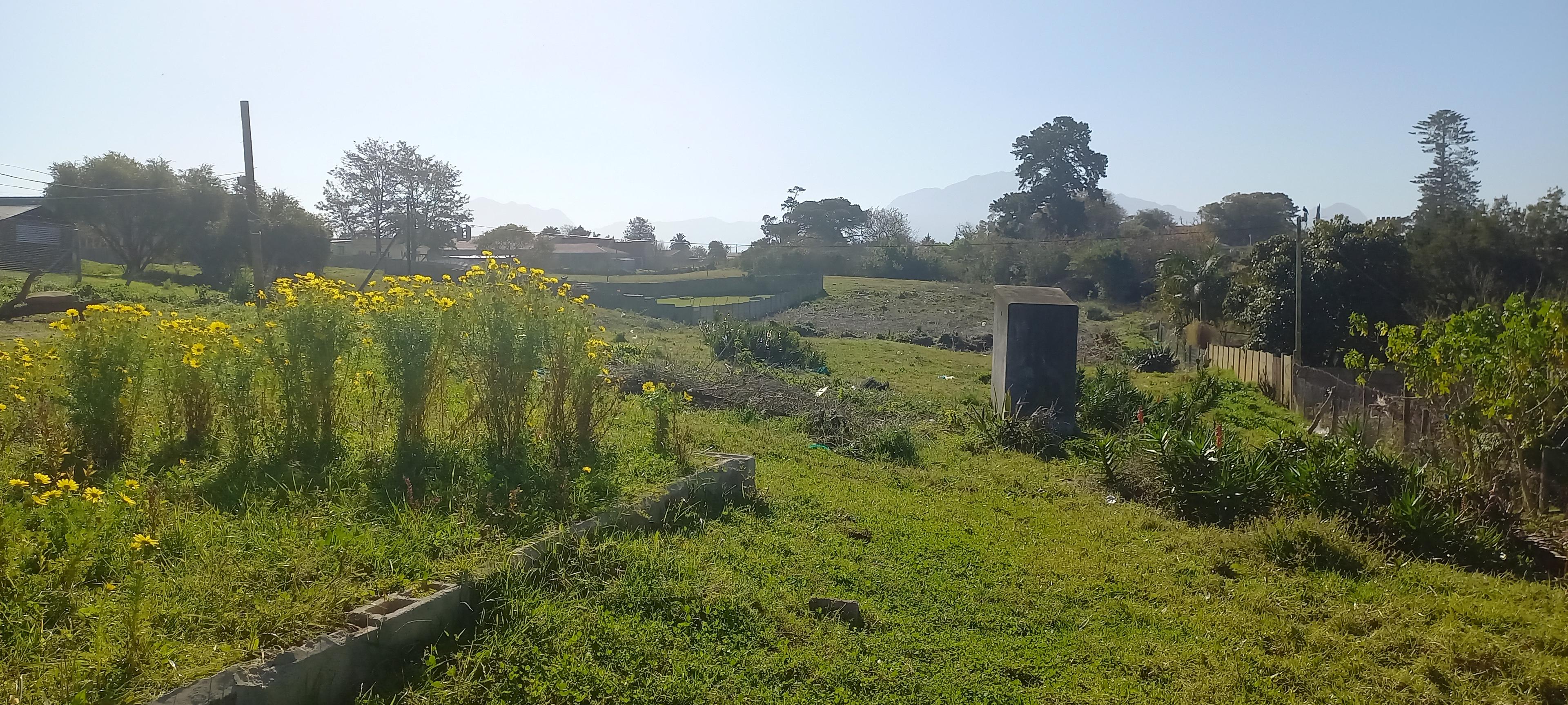 Image 2 of 6