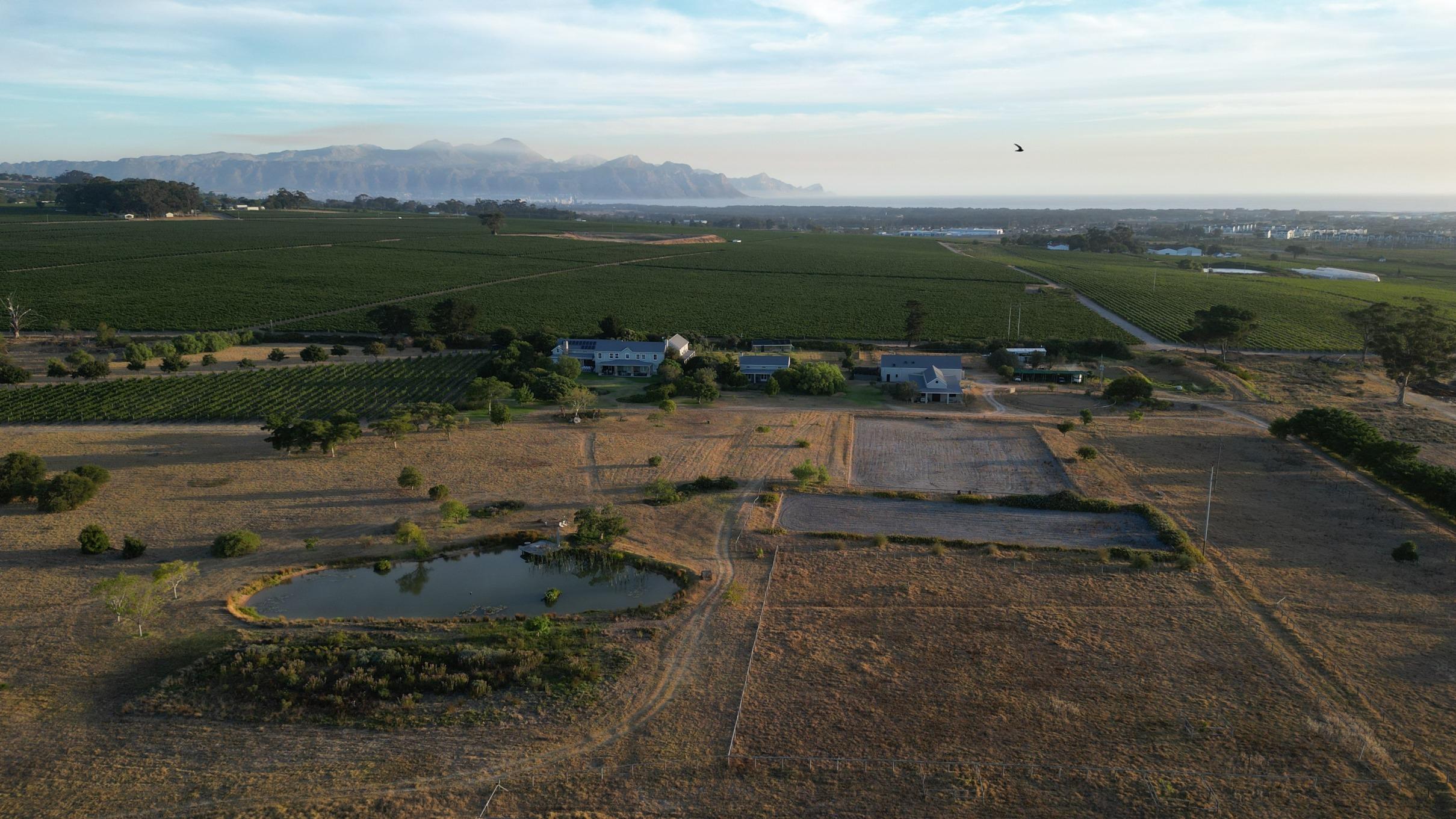 Image 87