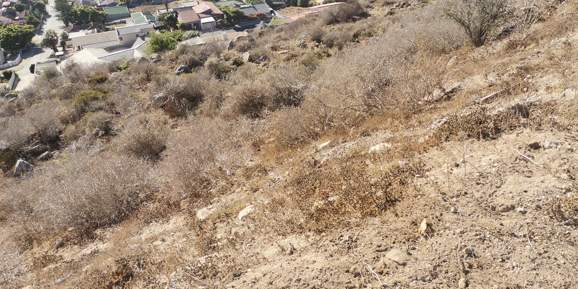 Image 4 of 6