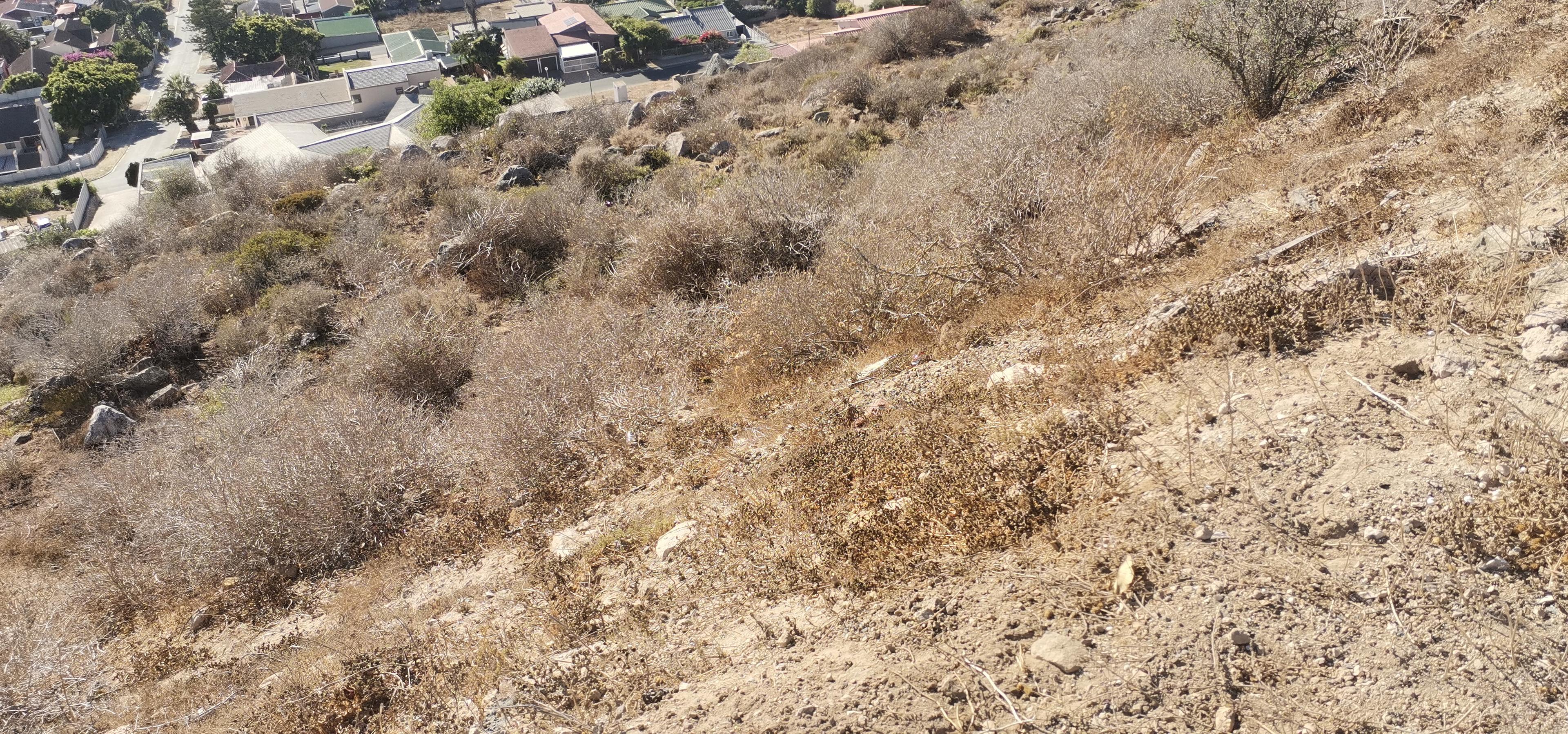 Image 4 of 6