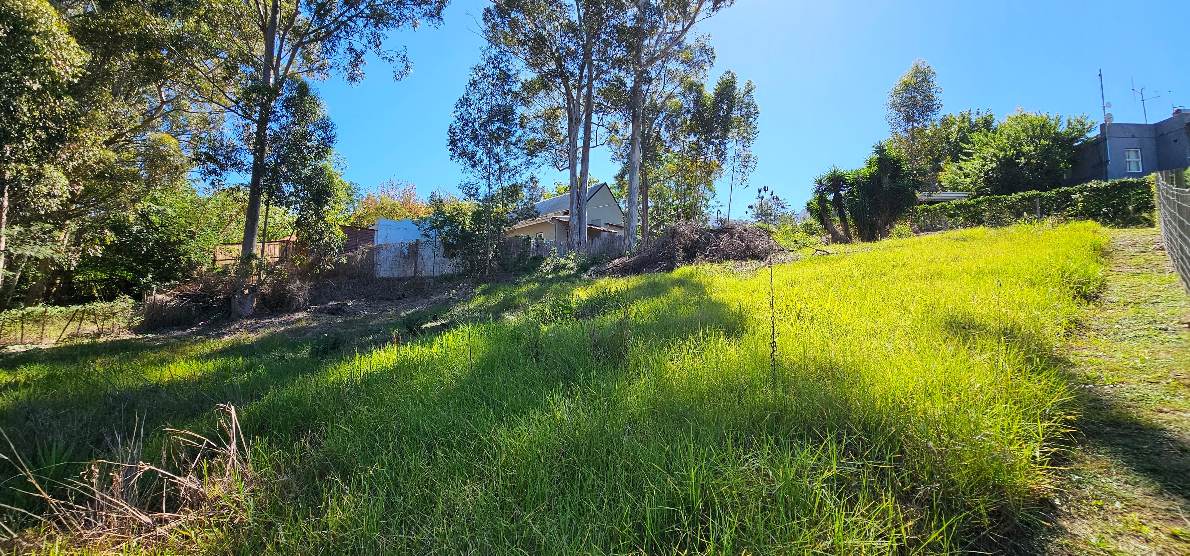 Image 4 of 6