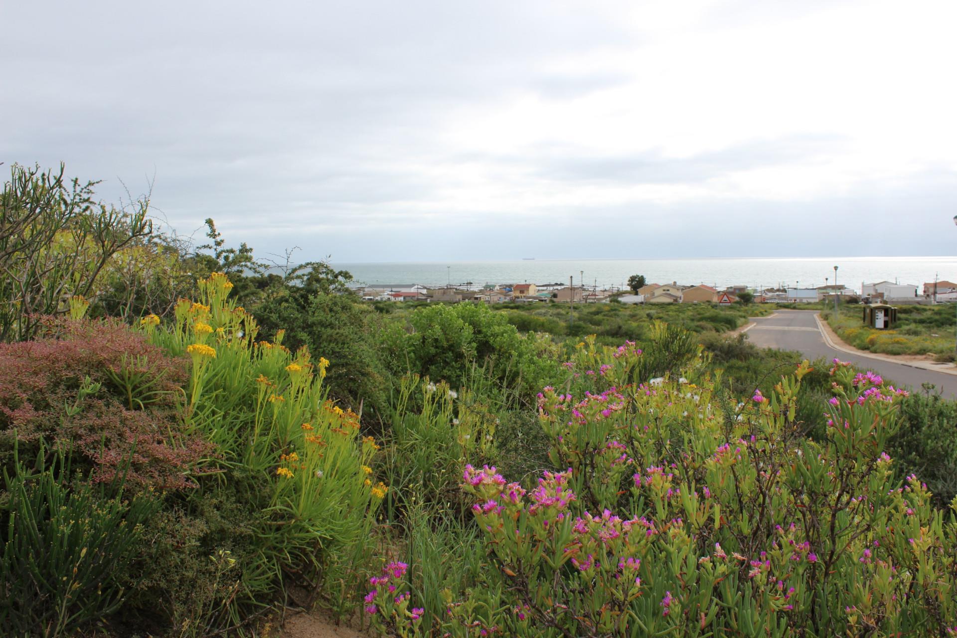 Image 4 of 6