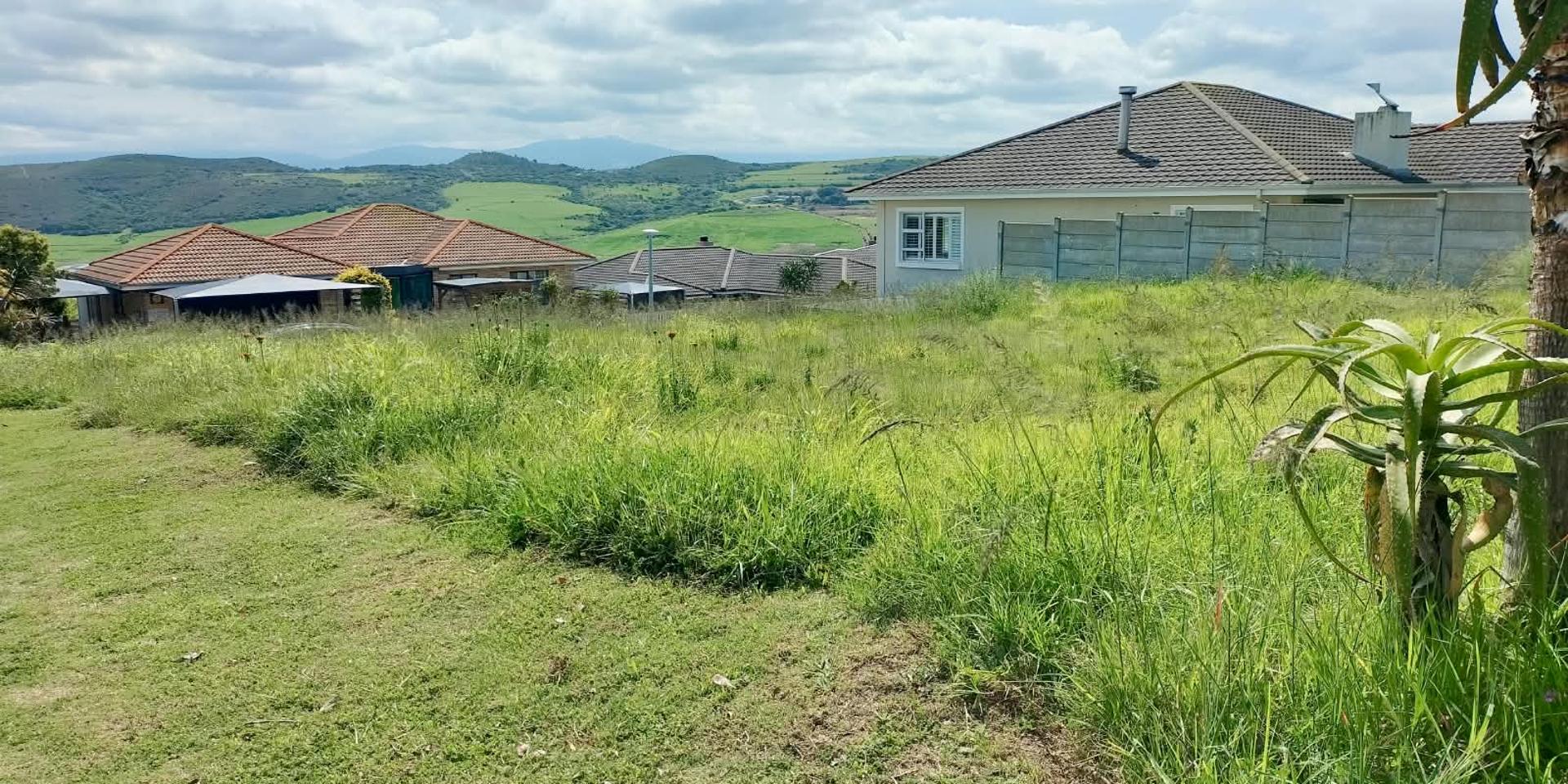 Image 2 of 6