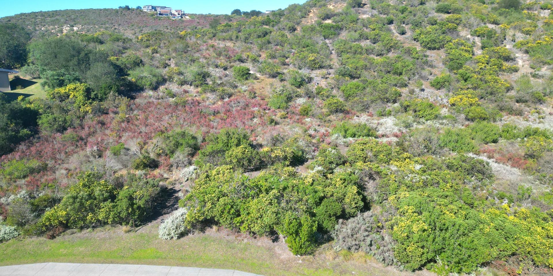 Image 2 of 6