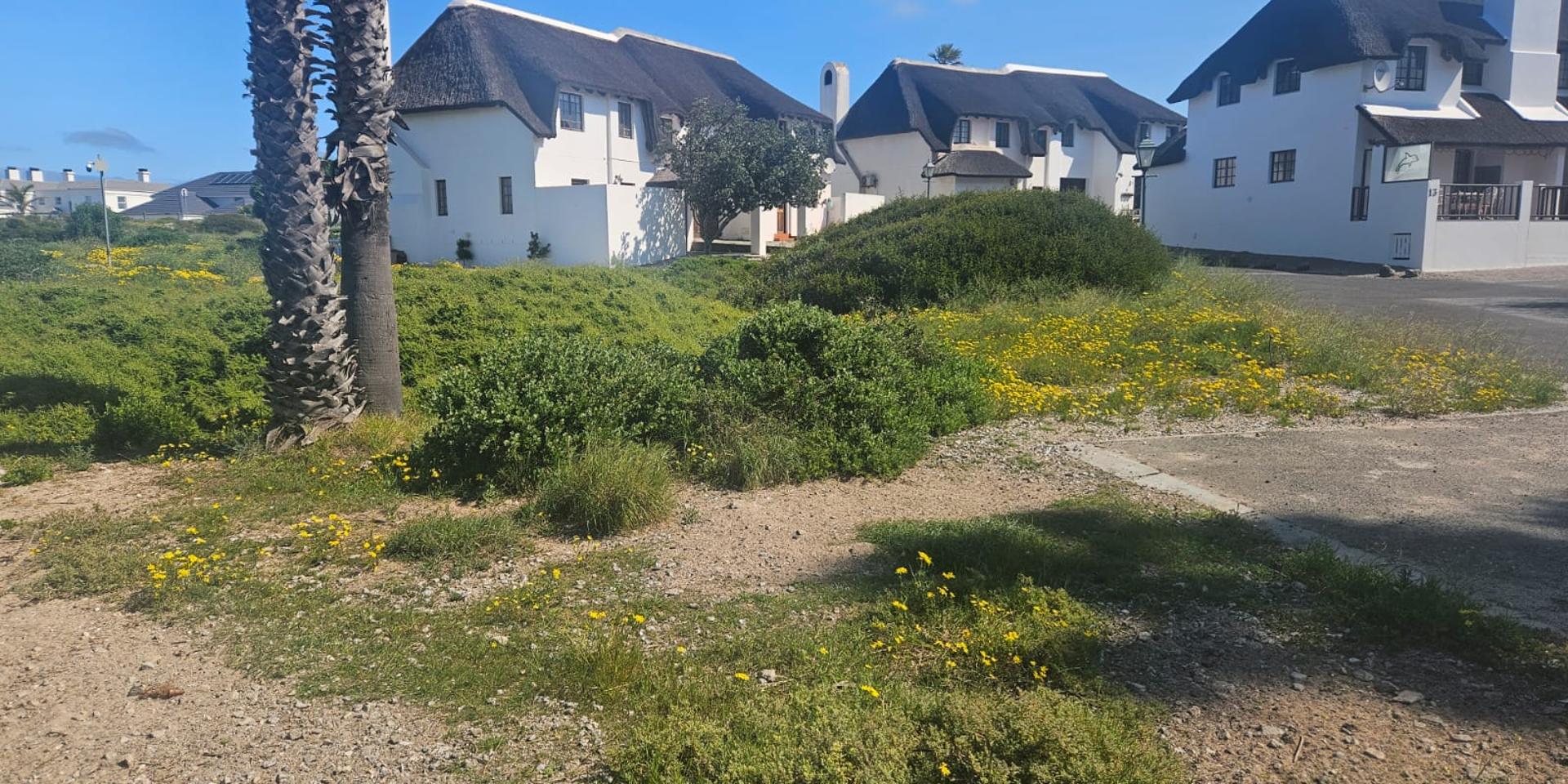 Image 4 of 6