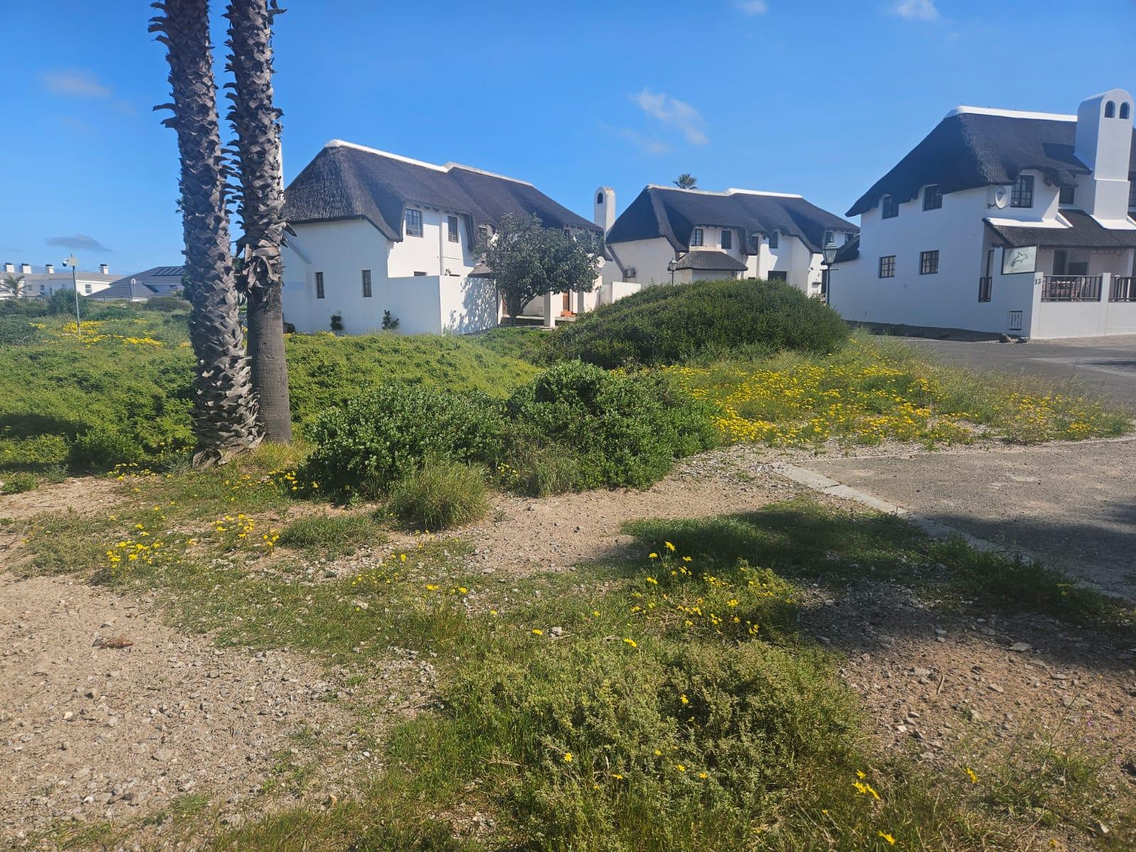 Image 4 of 6