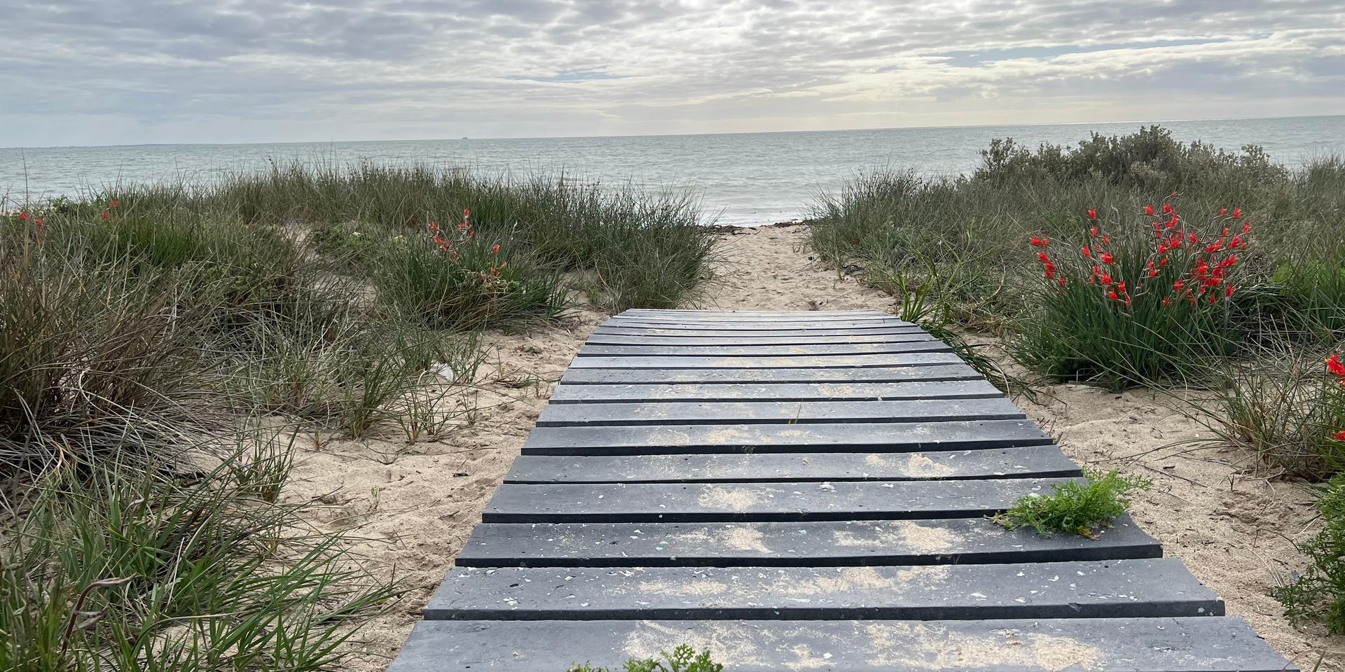 Image 1 of 6