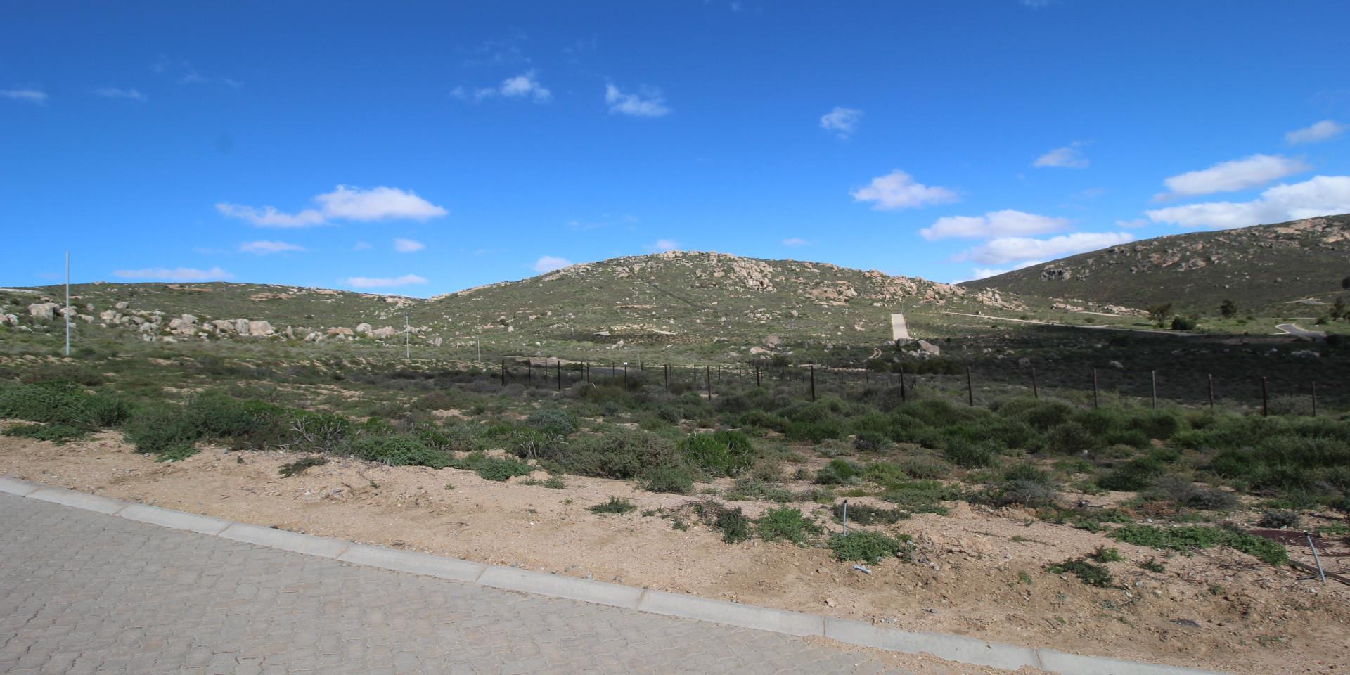 Image 5 of 6