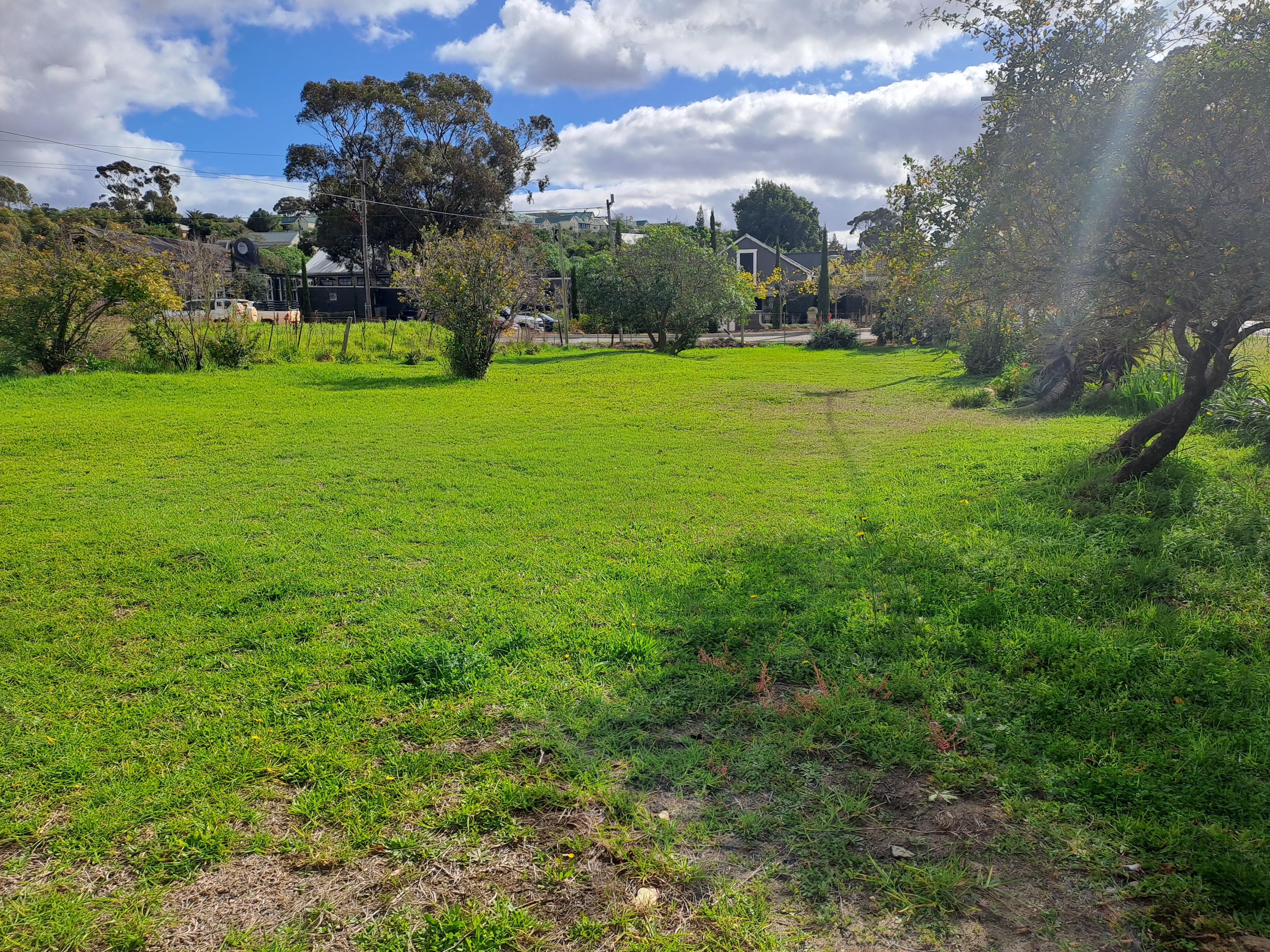 Image 13