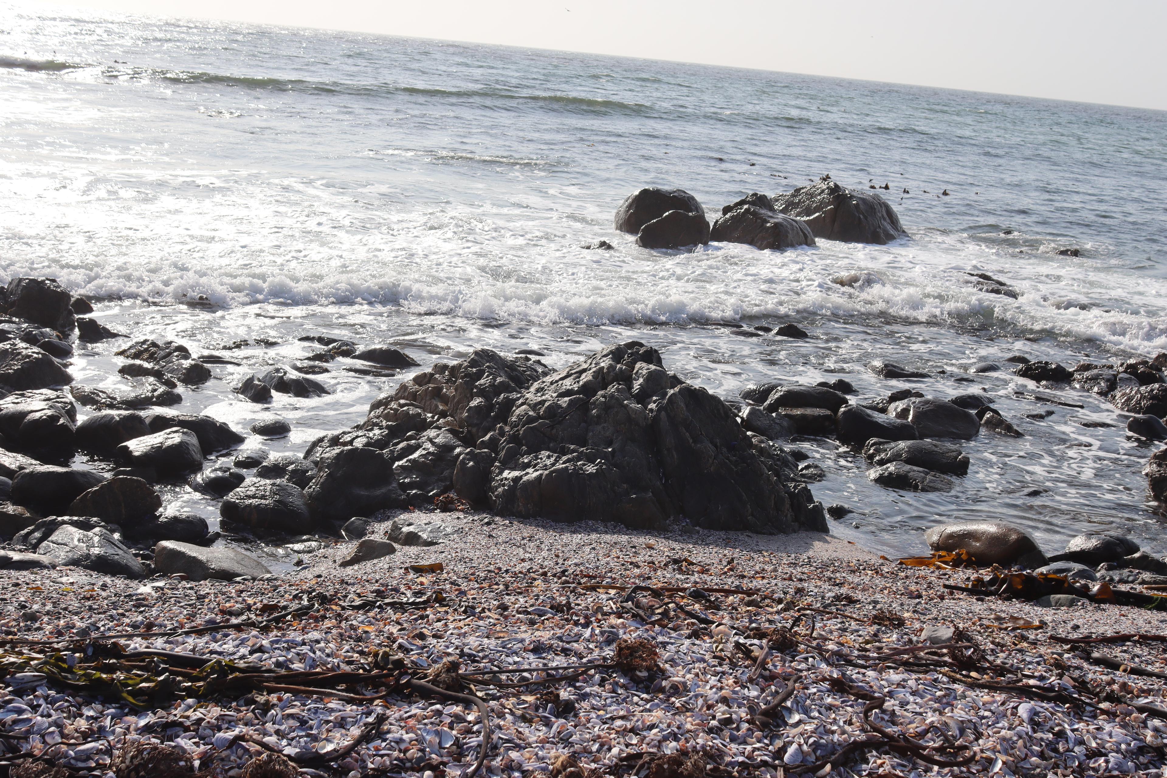 Image 14
