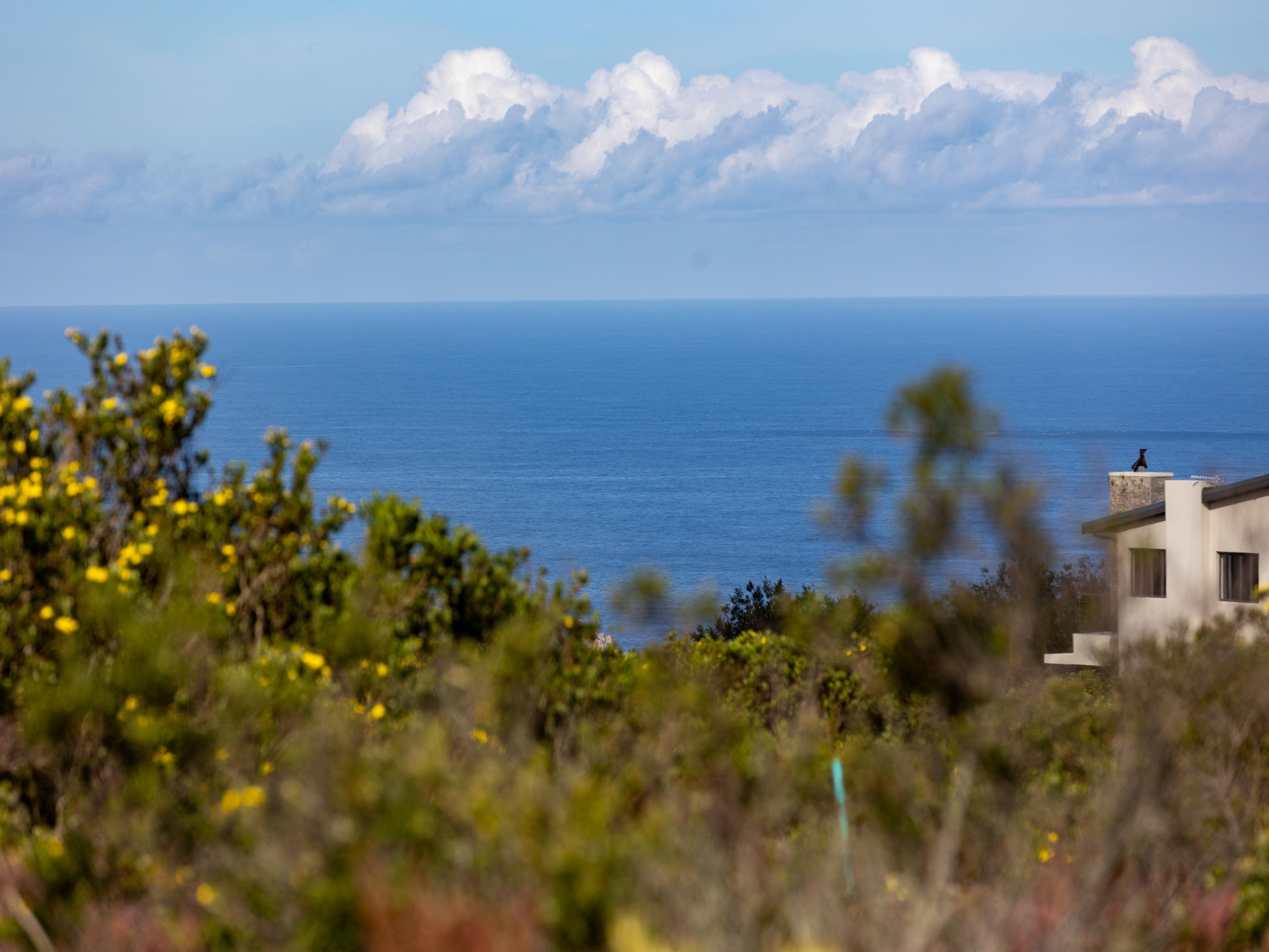 Image 14