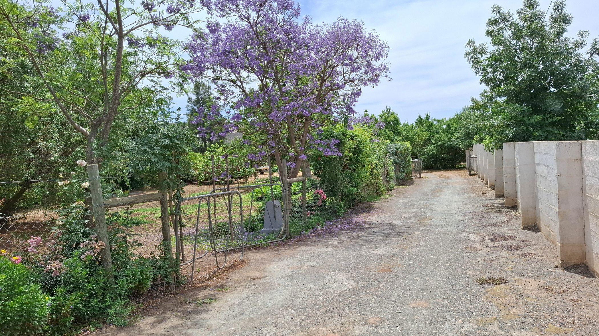 Image 4 of 6