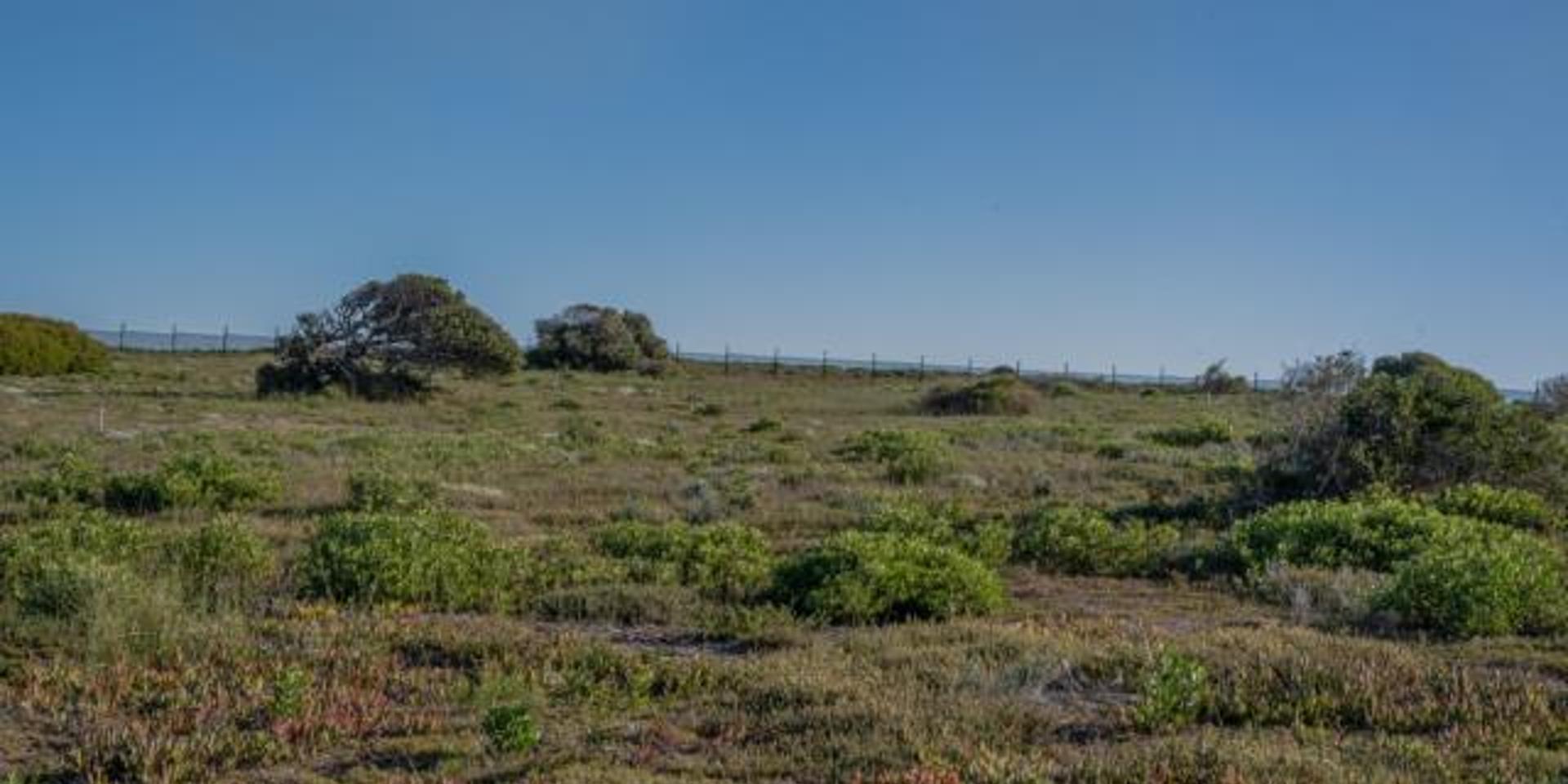 Image 3 of 6