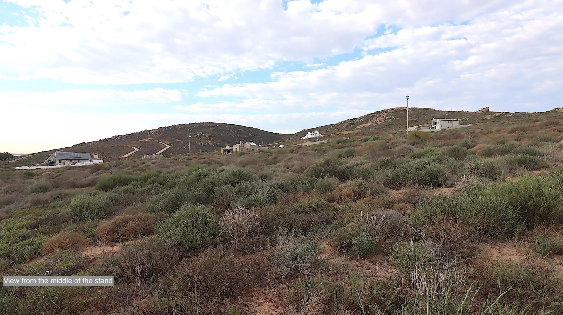 Image 14