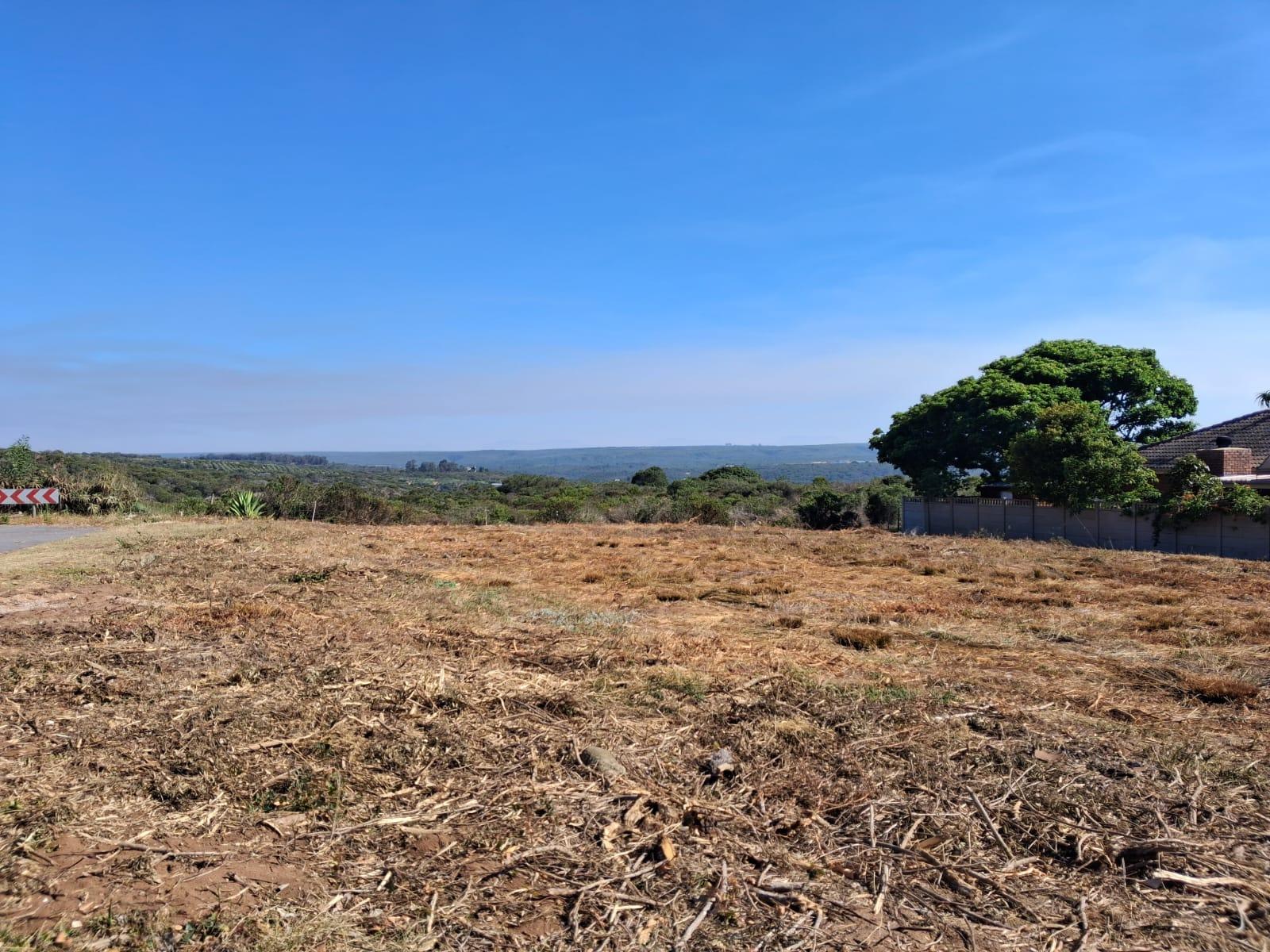 Image 12