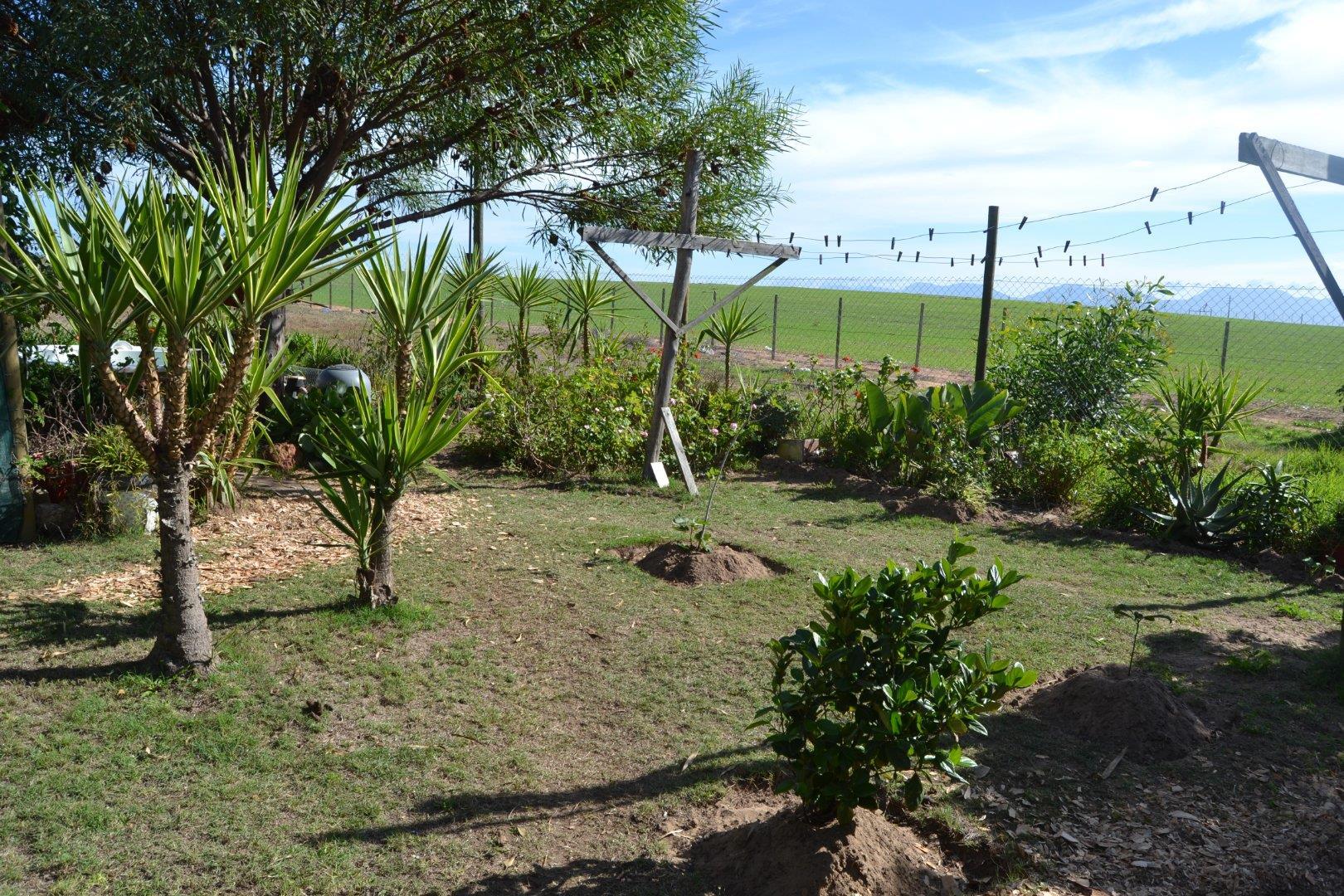 Image 15