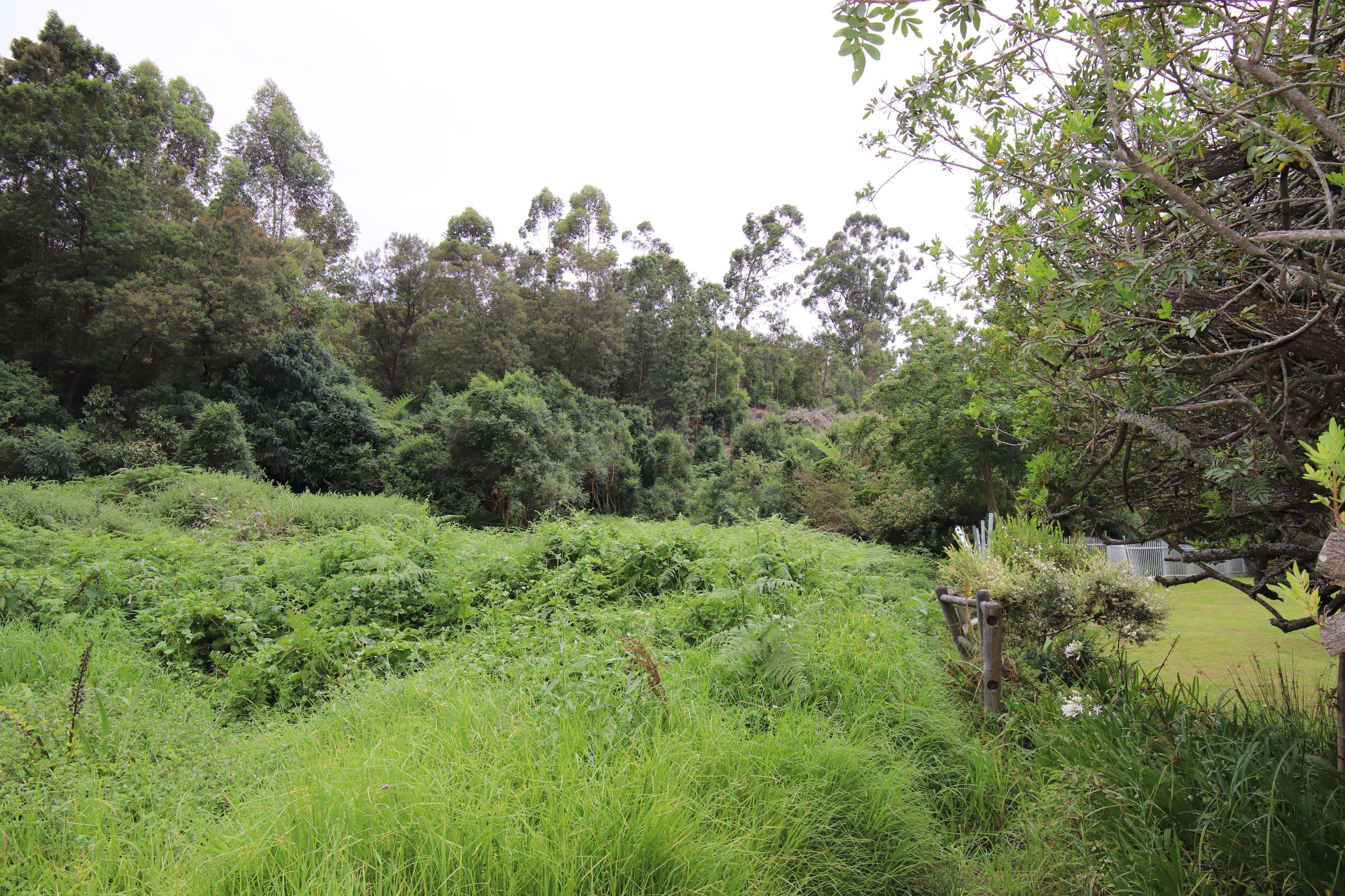 Image 14