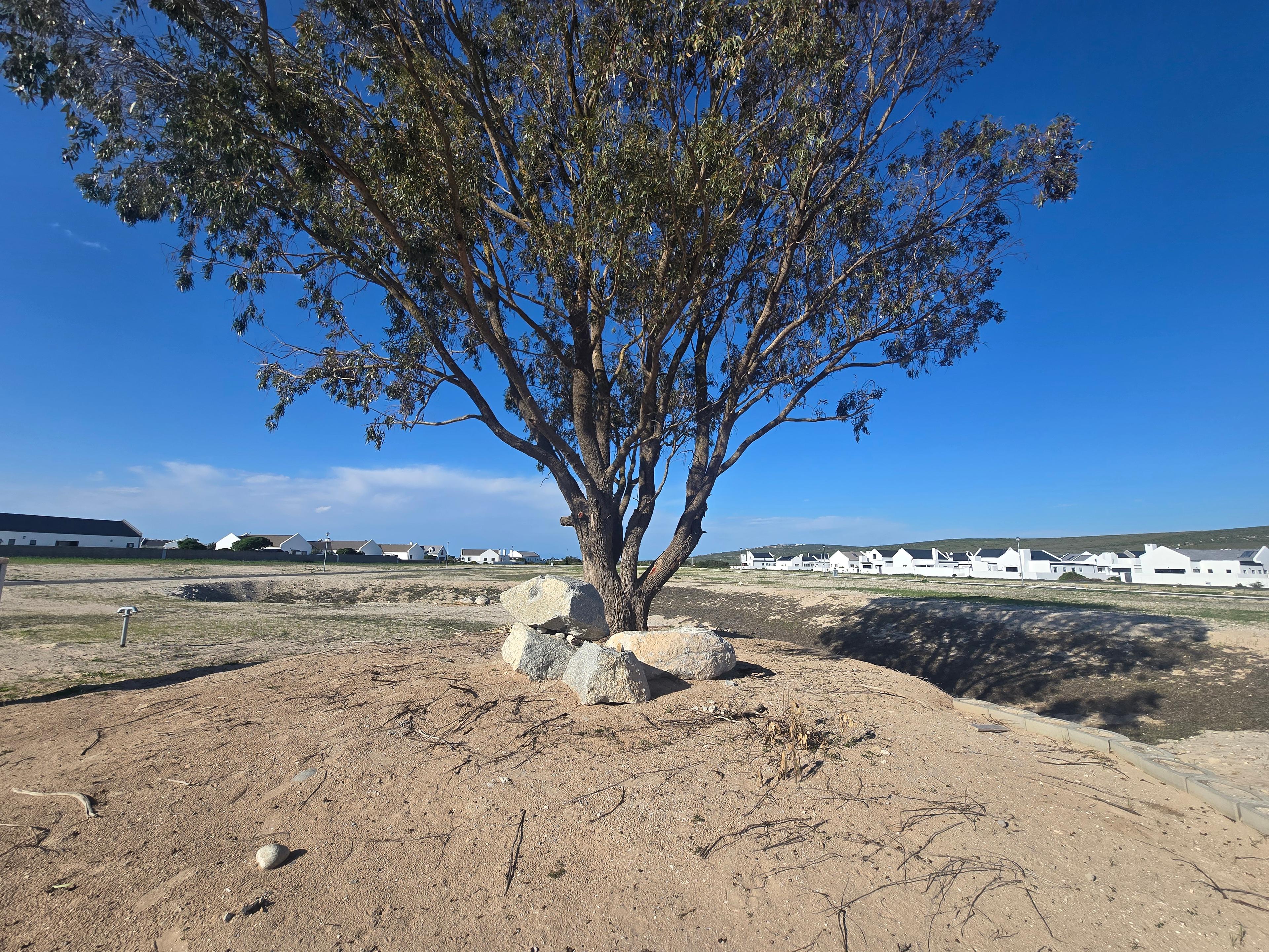 Image 12