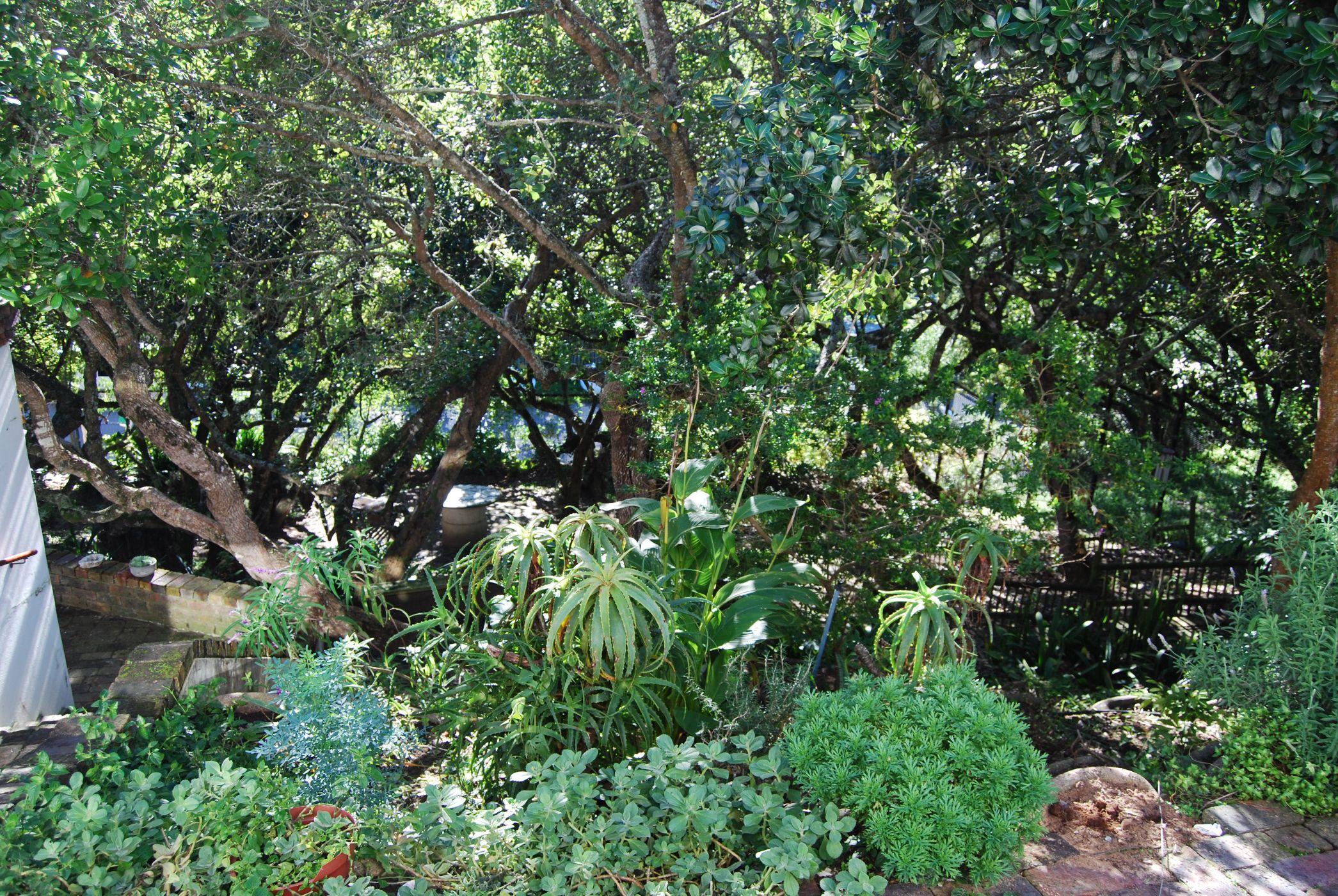 Image 51