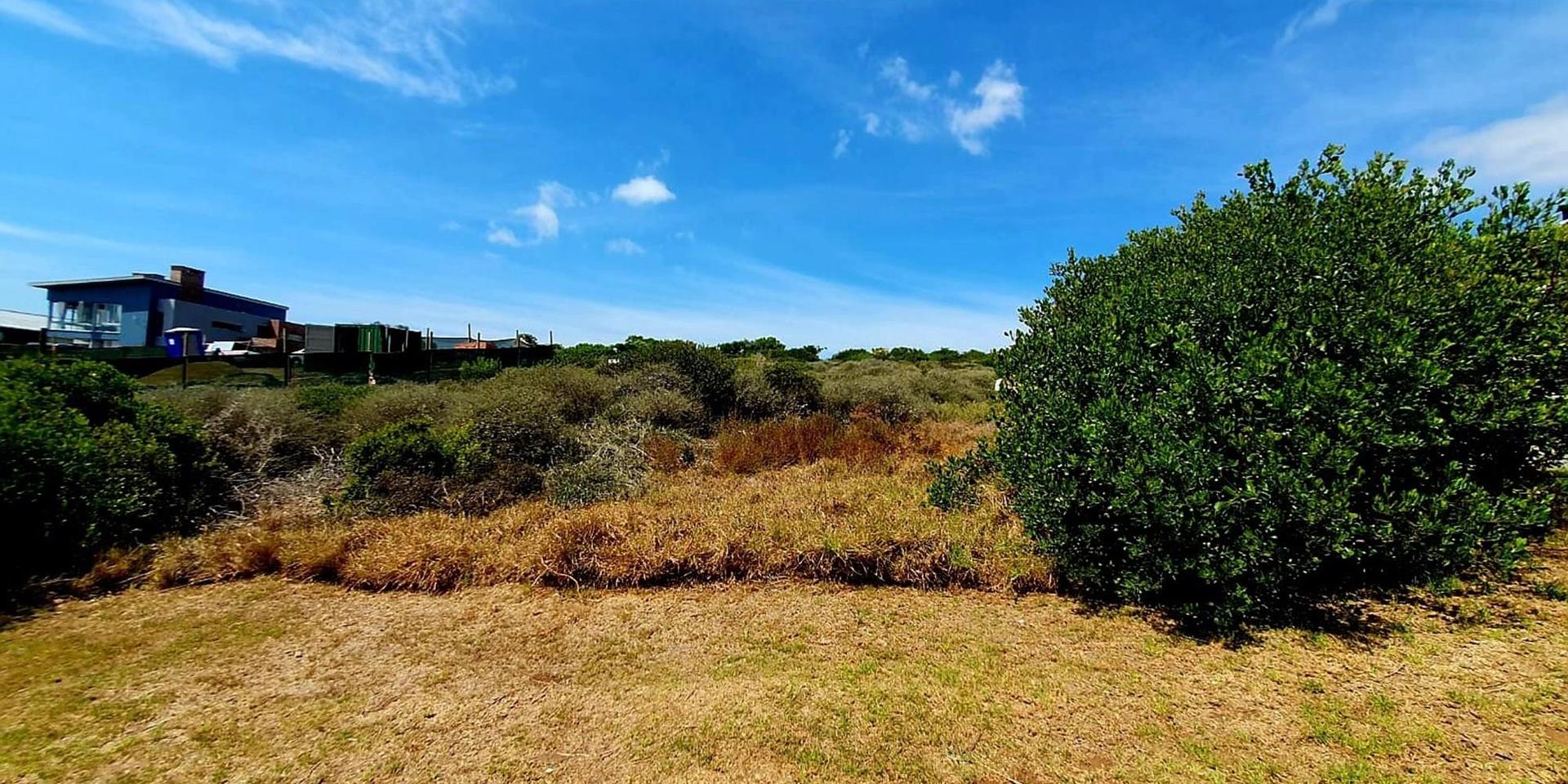 Image 4 of 6