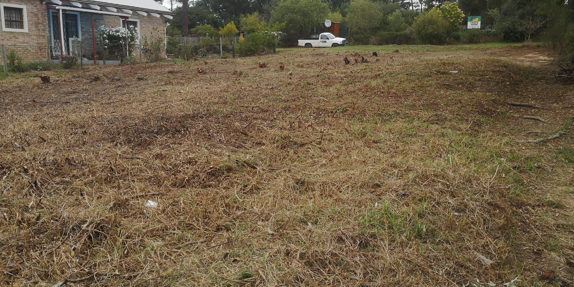 Image 5 of 6