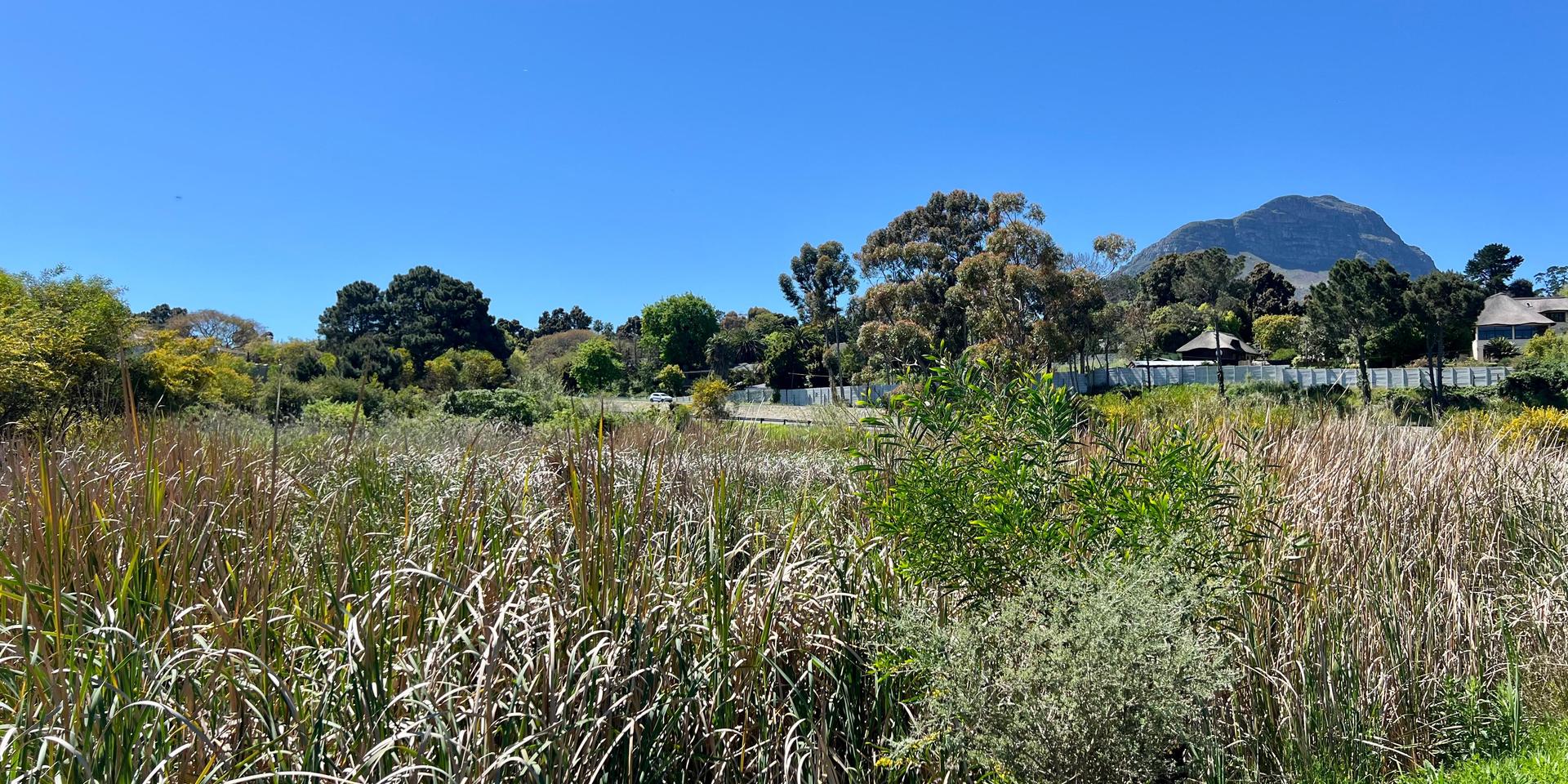 Image 3 of 6