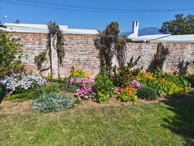 Image 34