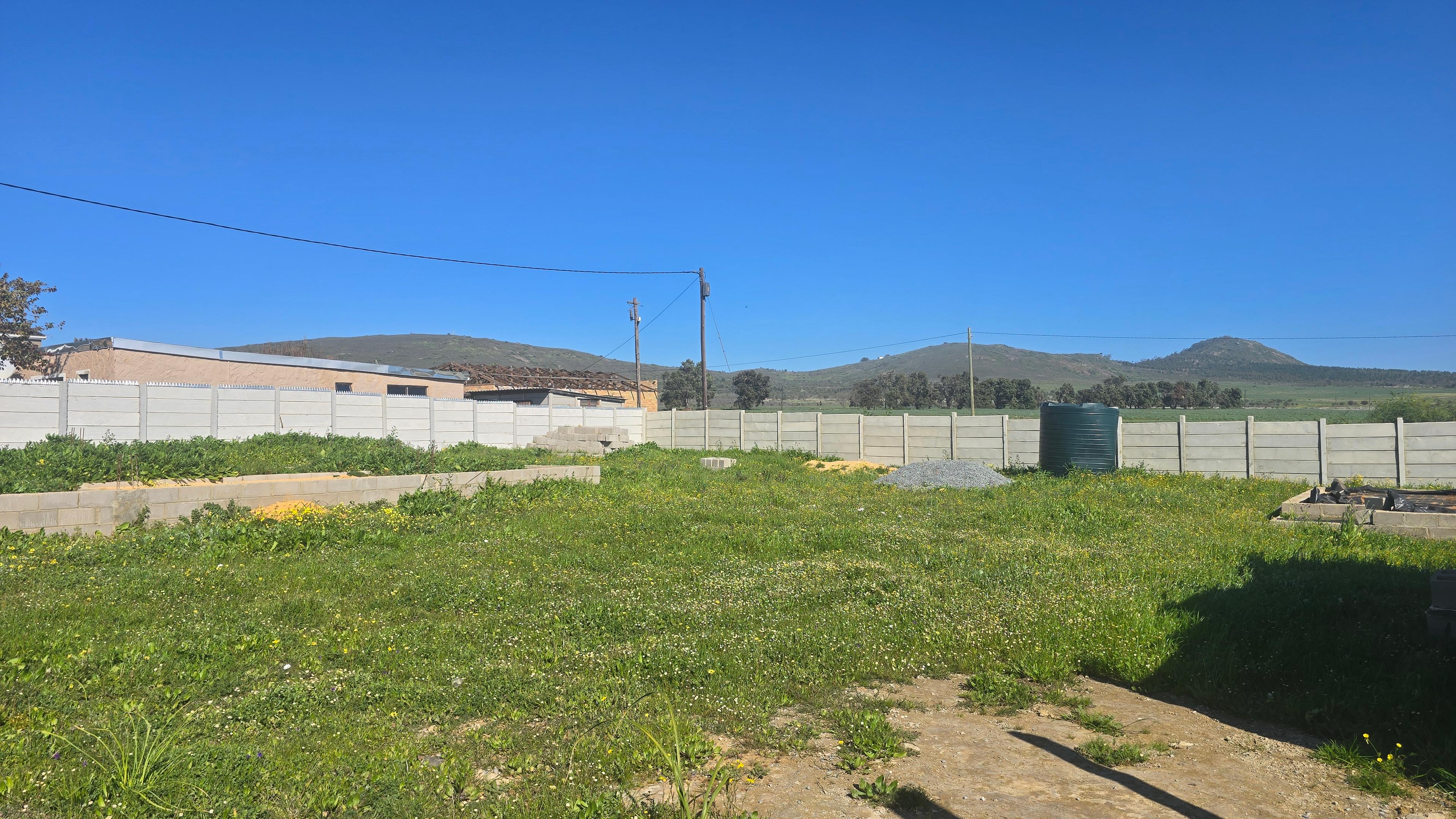 Image 12