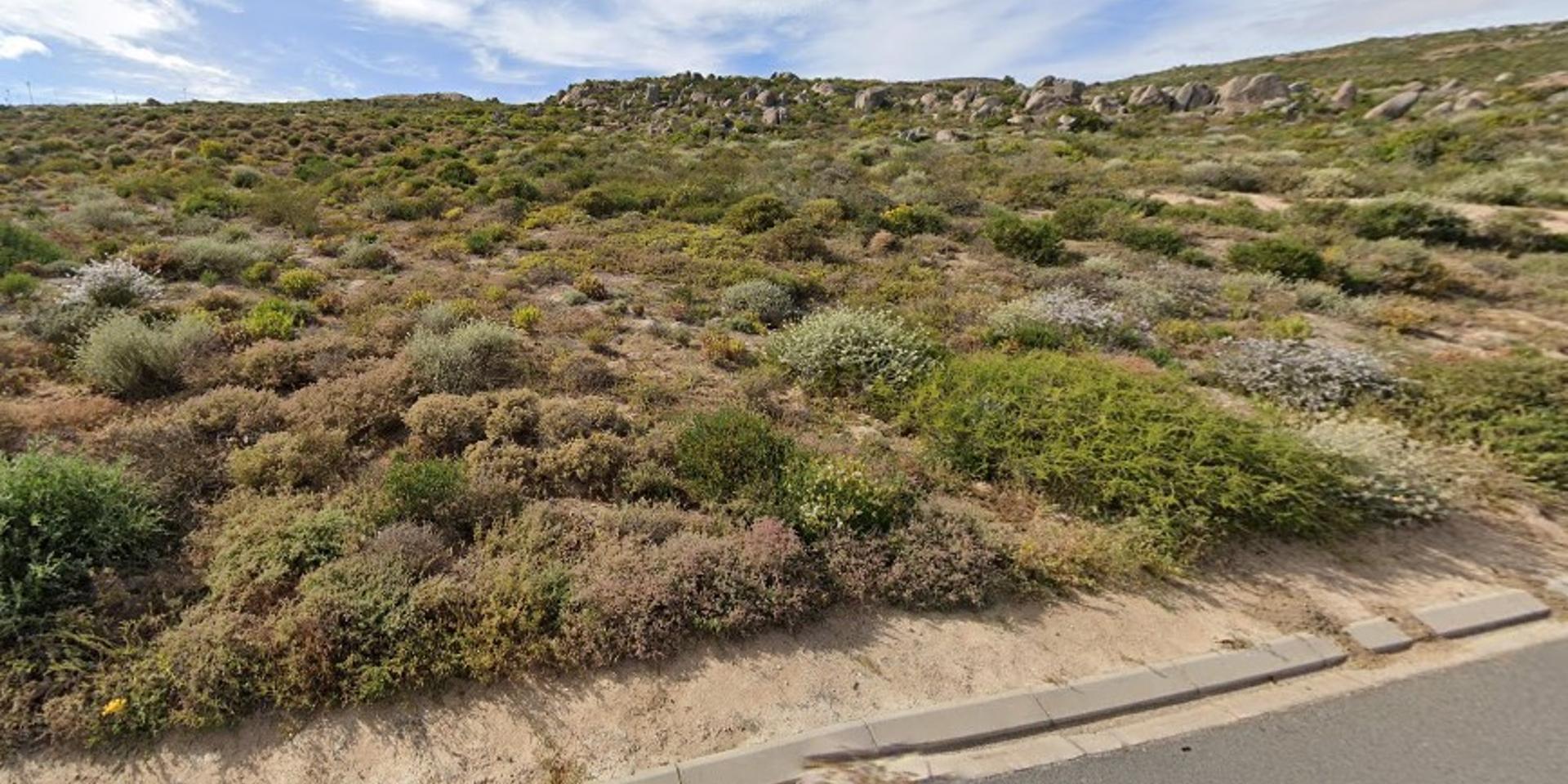 Image 4 of 6