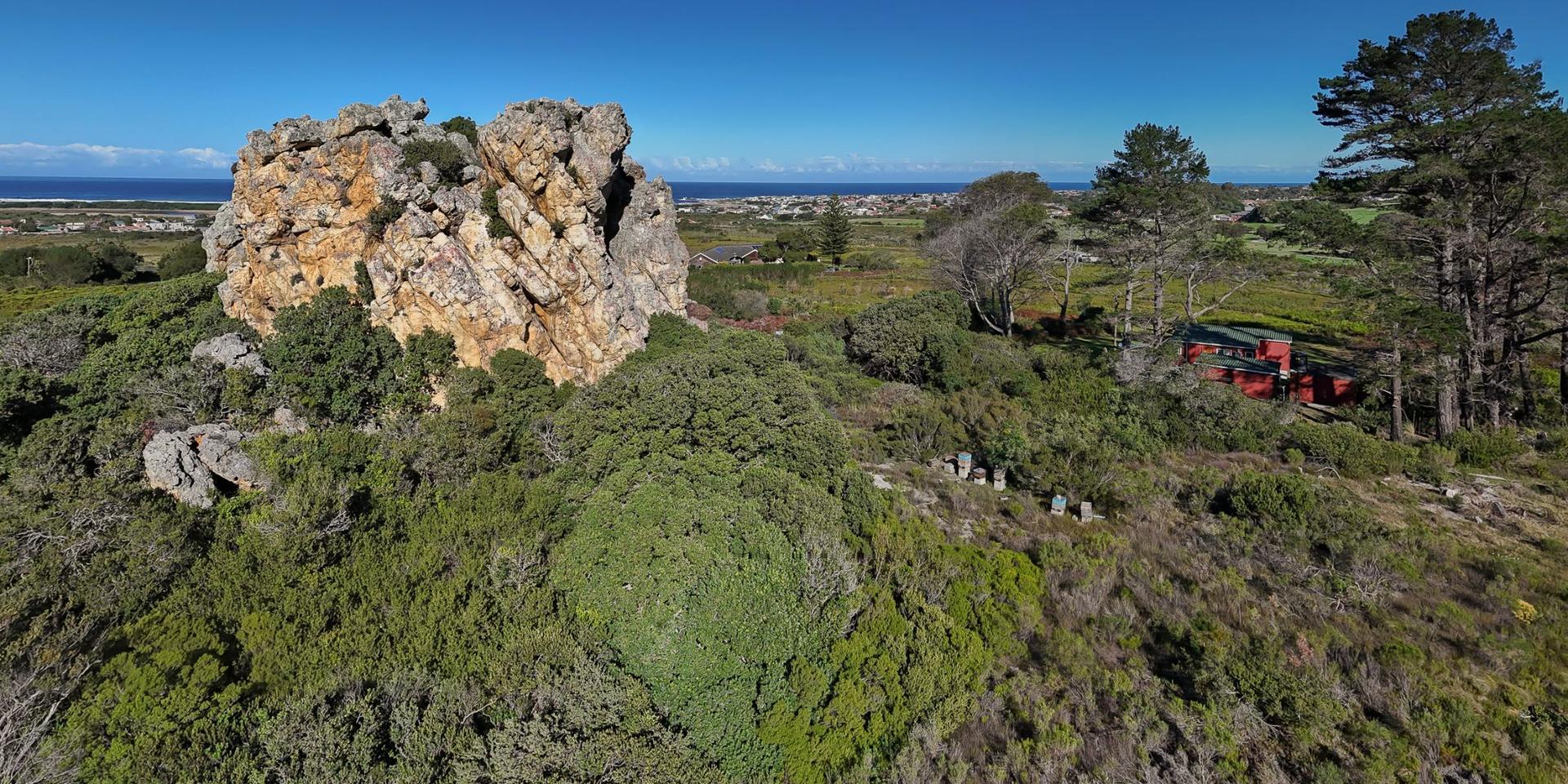 Image 1 of 6