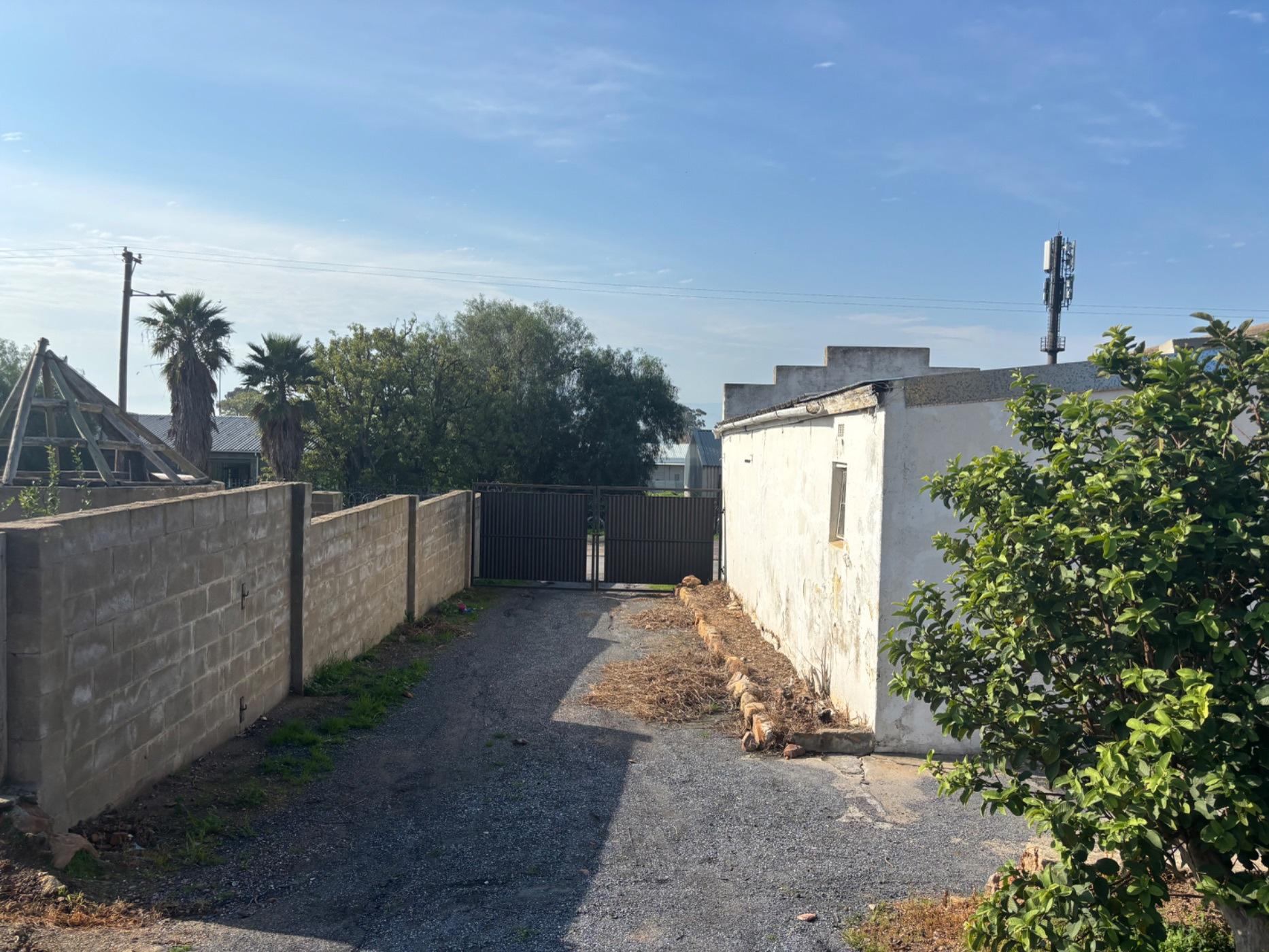 Image 12