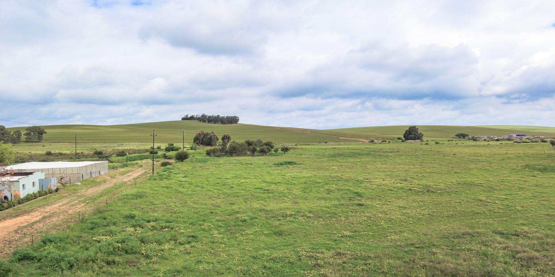 Image 2 of 6