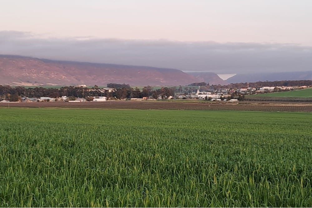 Image 31