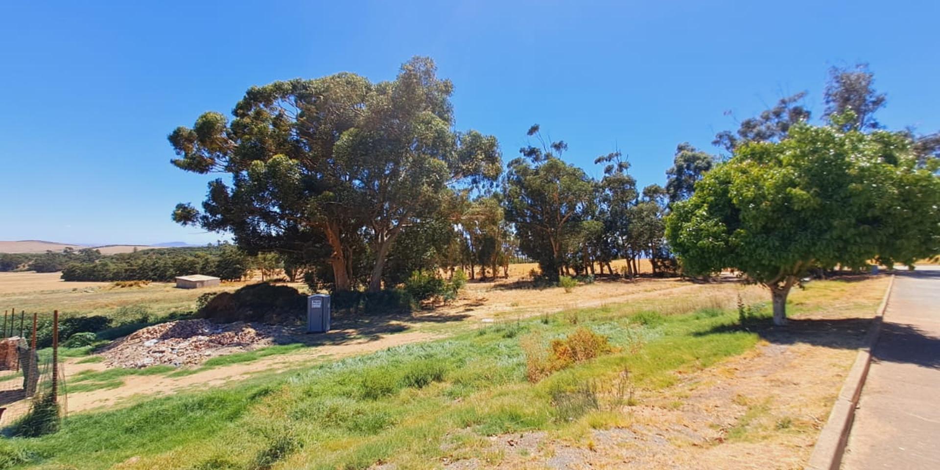 Image 4 of 6