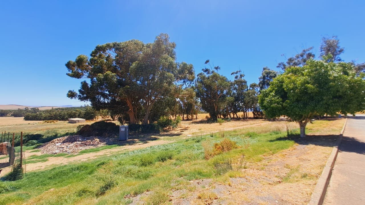 Image 4 of 6