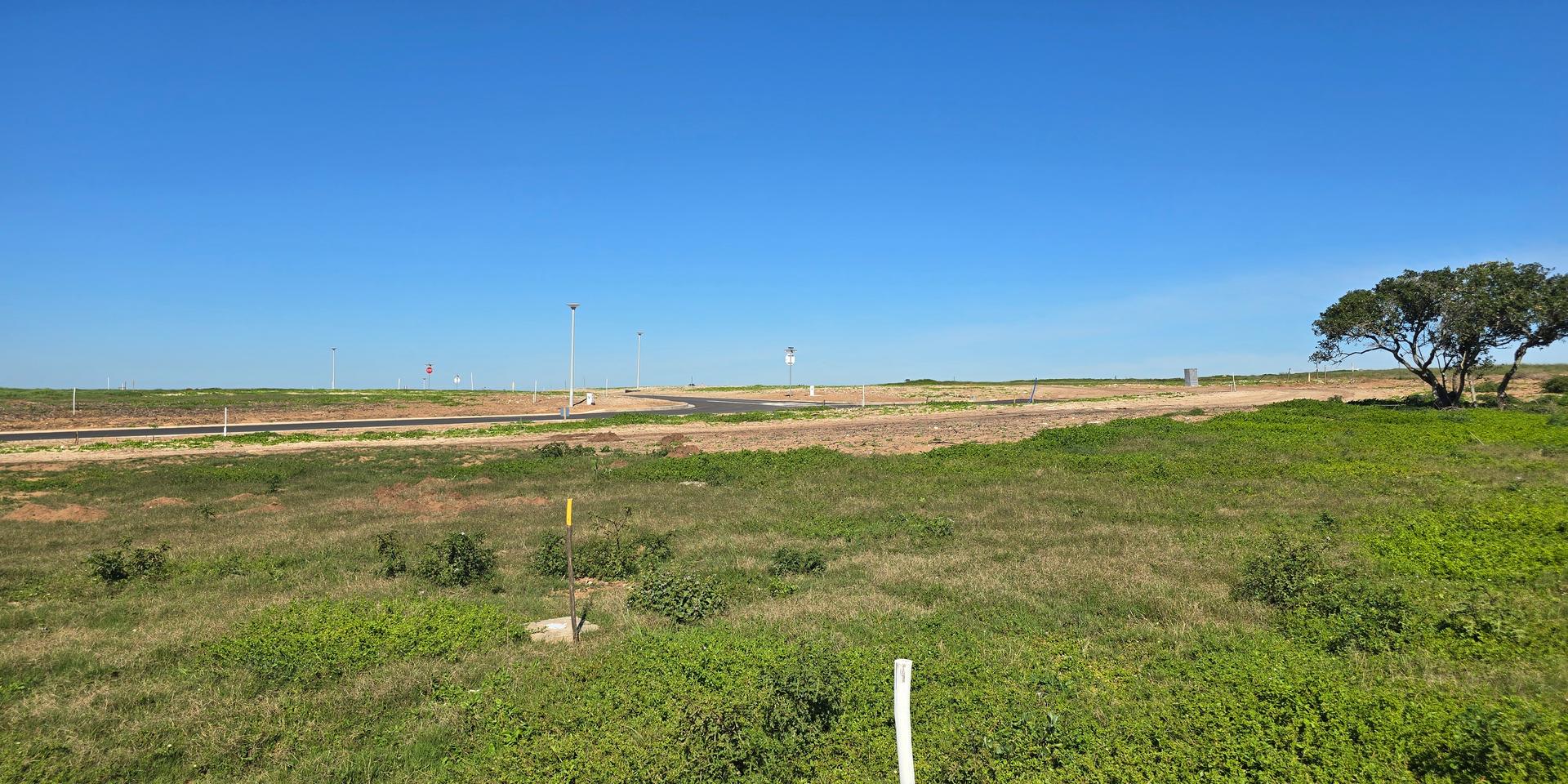 Image 5 of 6