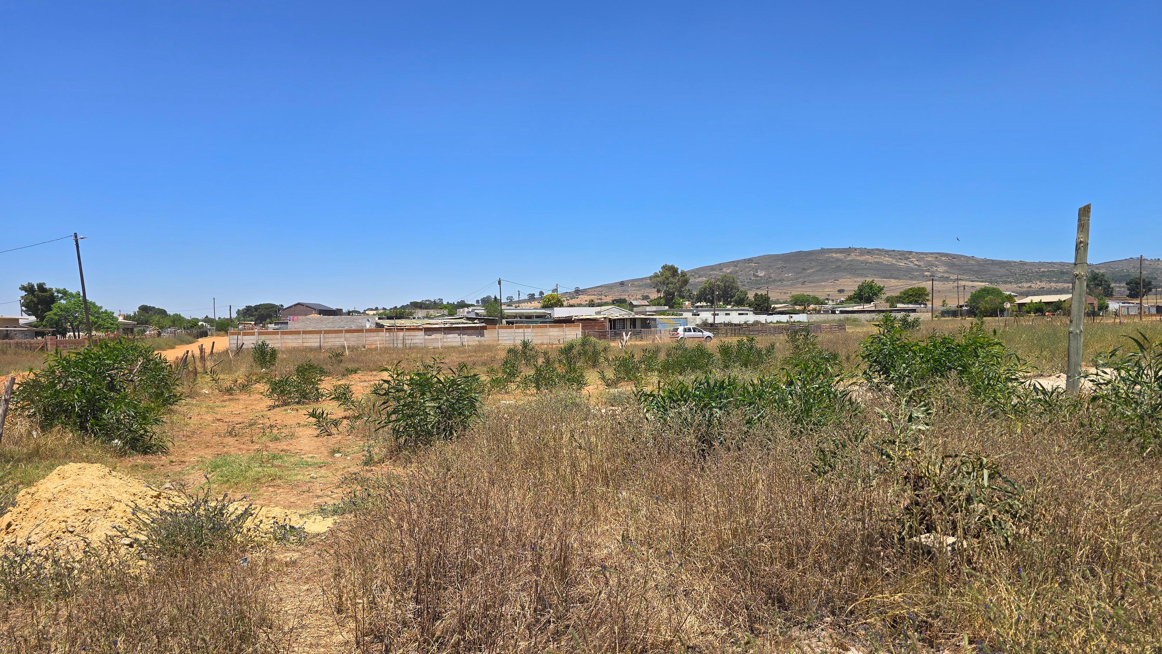 Image 2 of 6