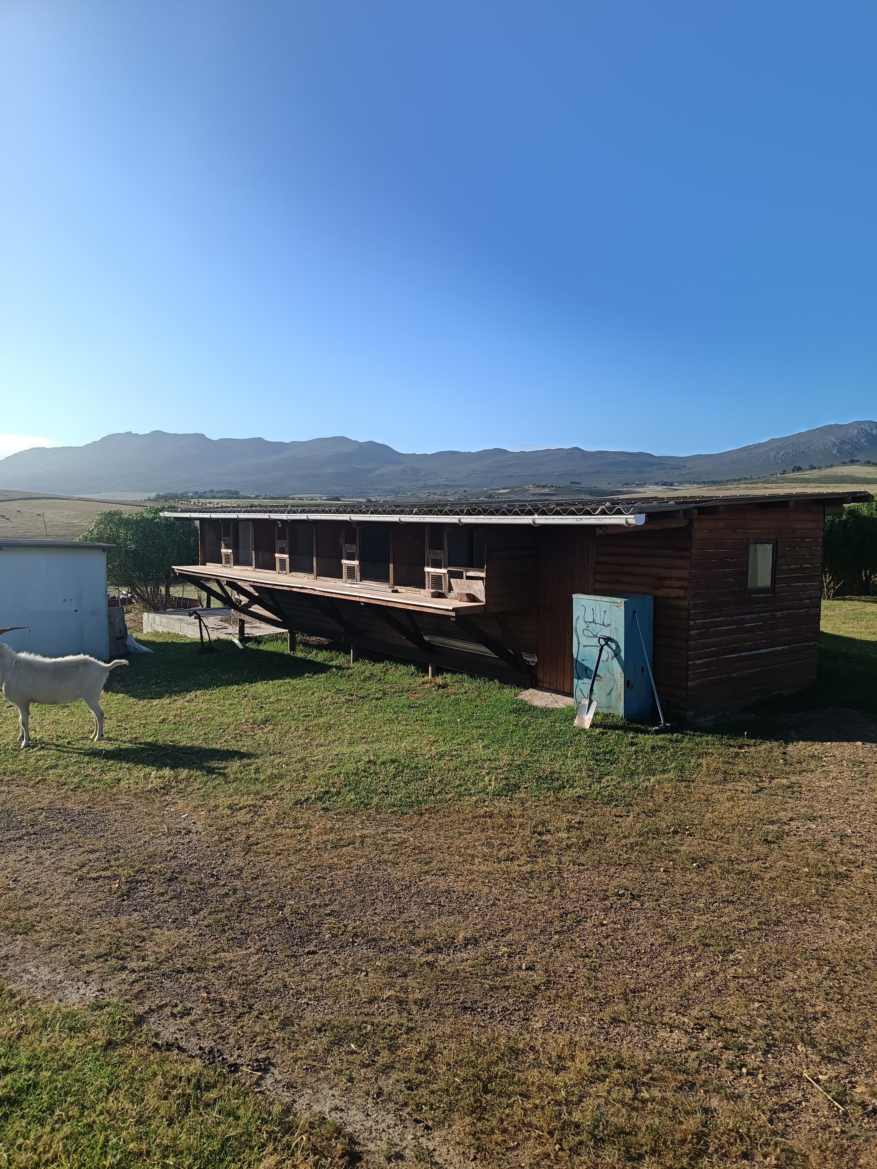 Image 4 of 6