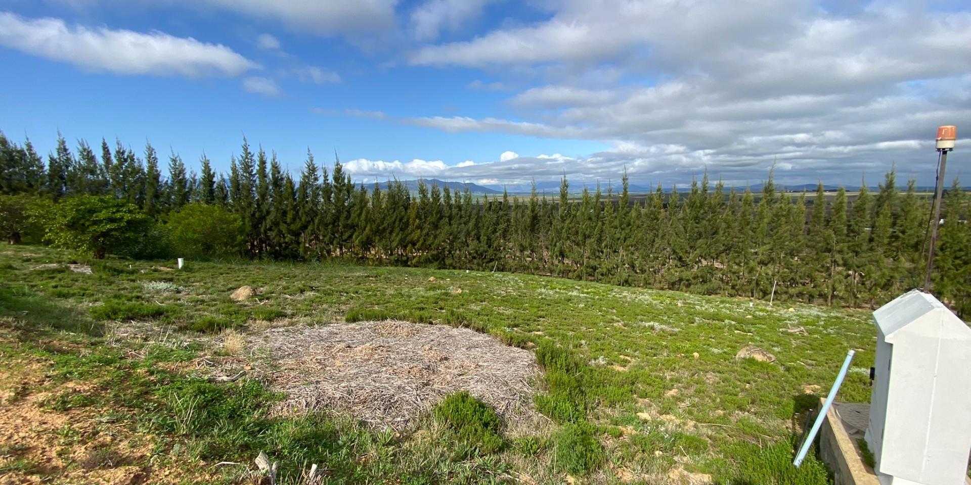 Image 5 of 6