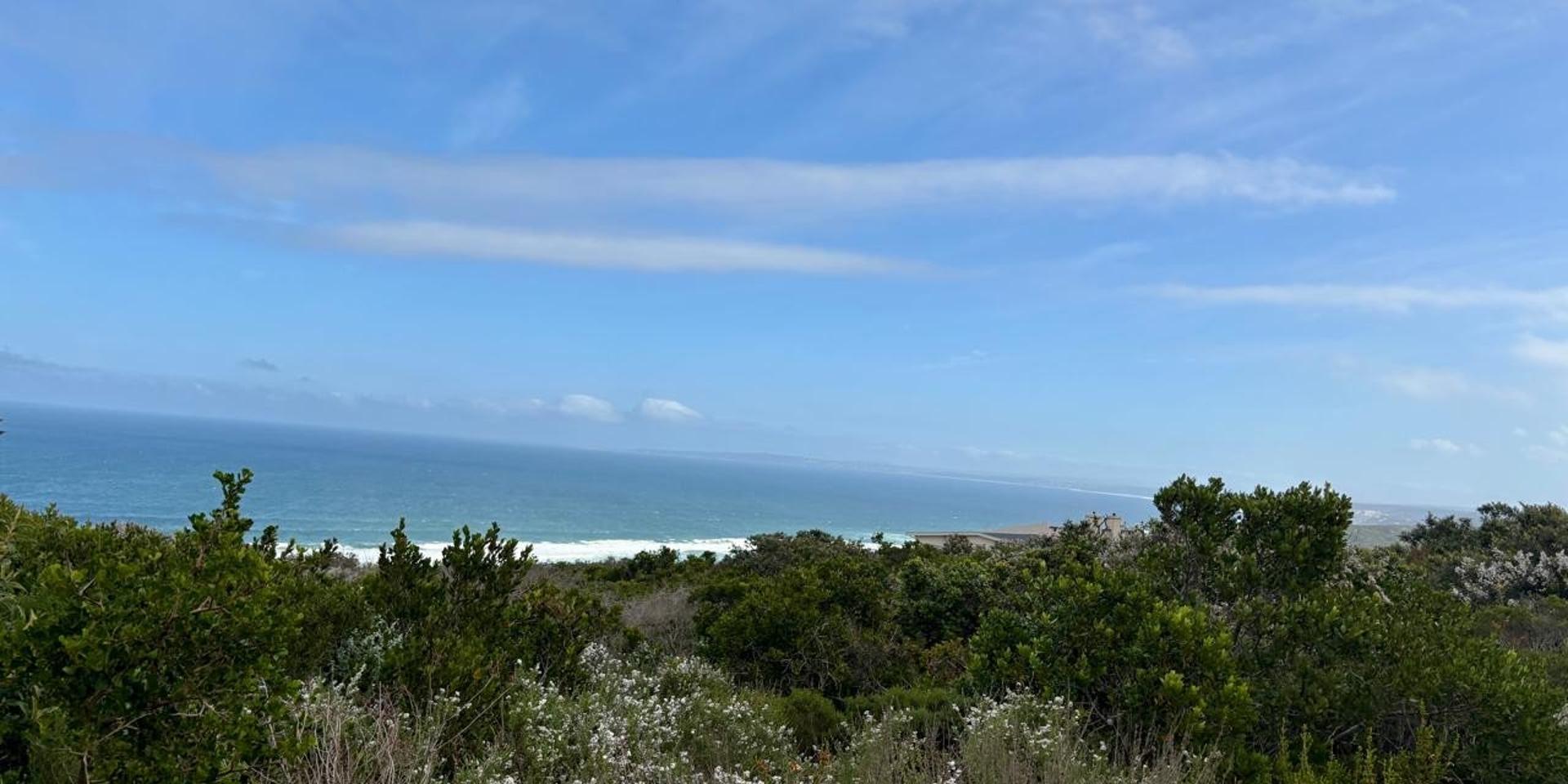 Image 5 of 6