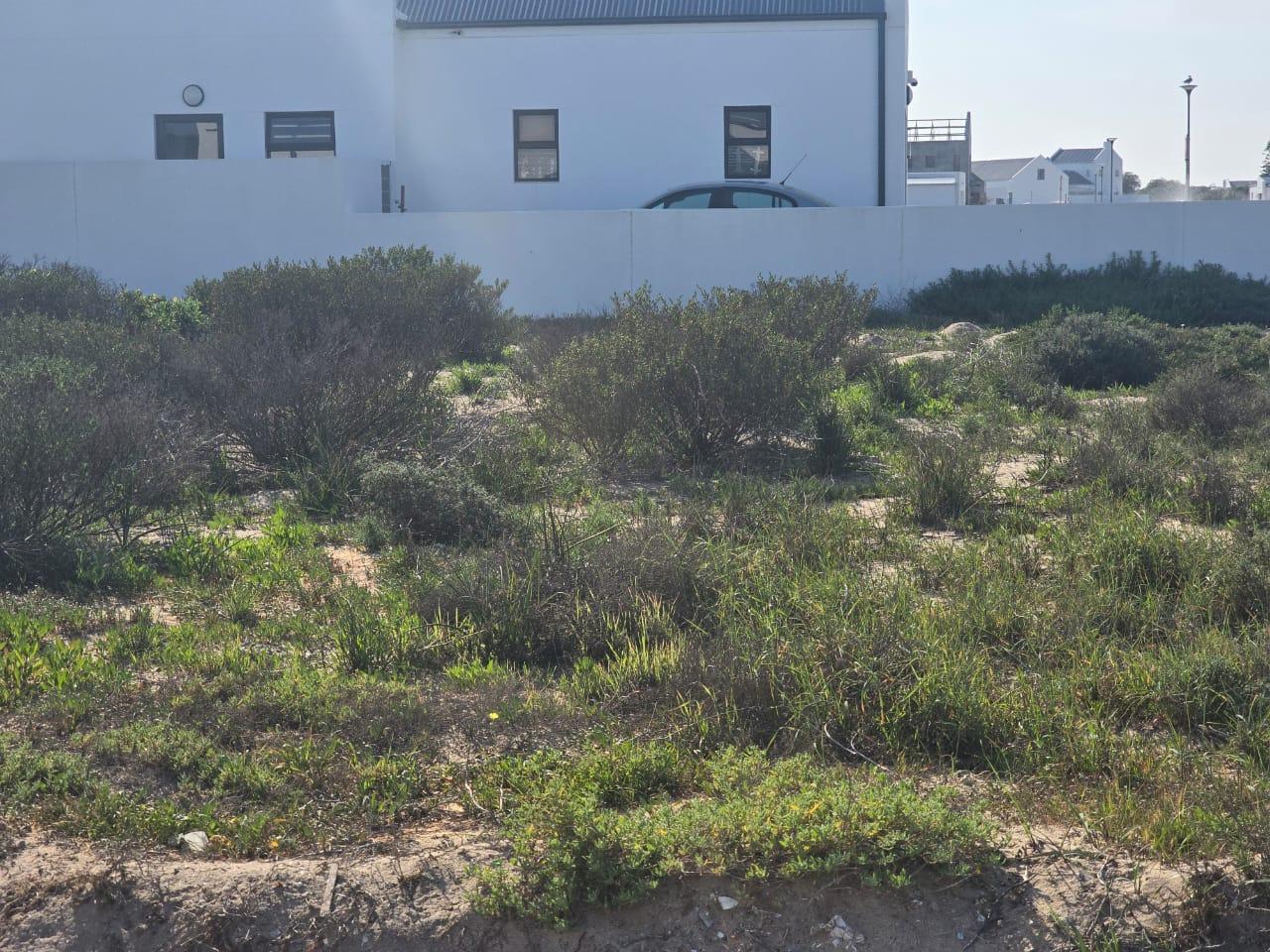 Image 15