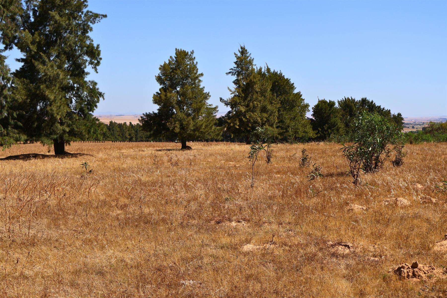 Image 37