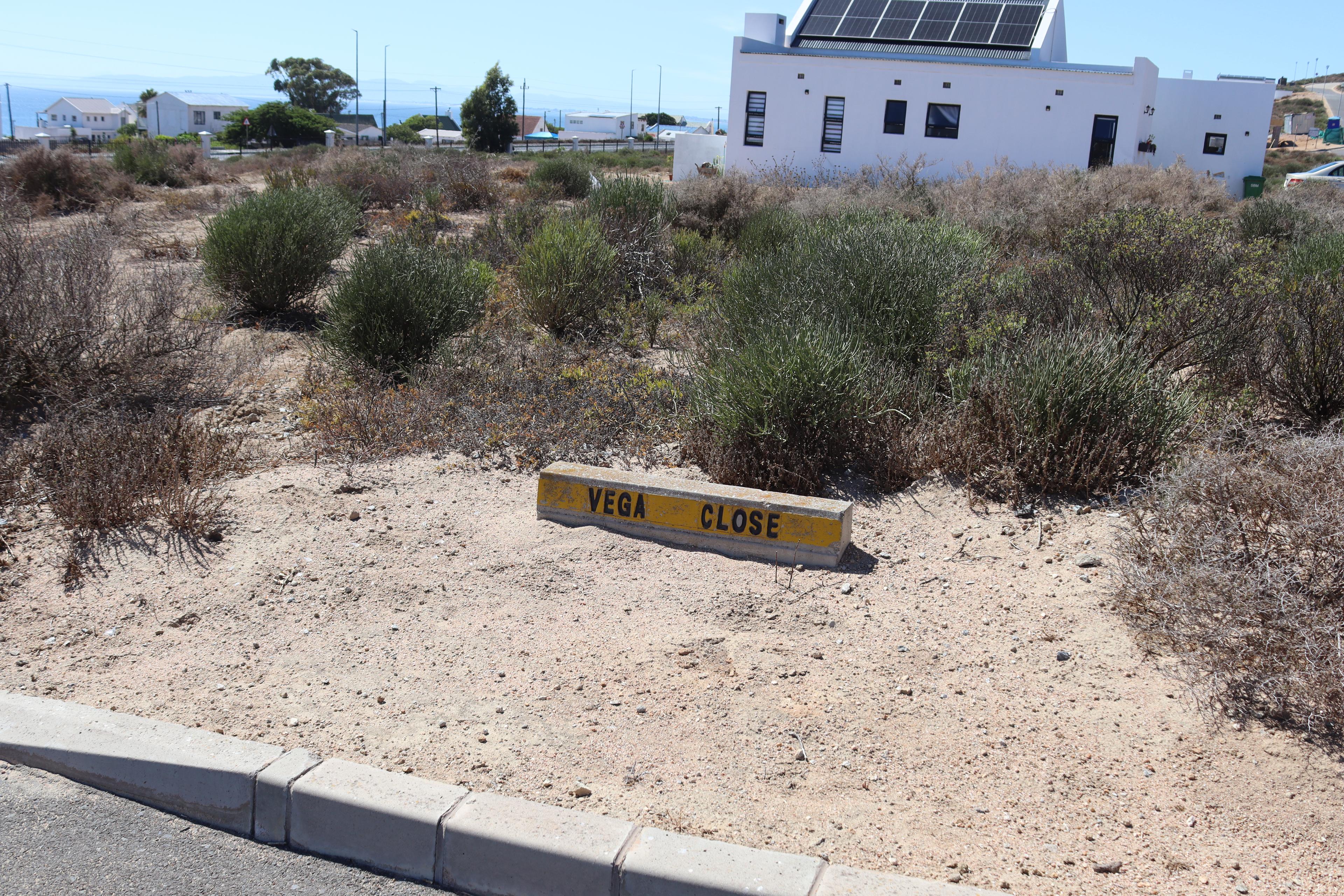 Image 15