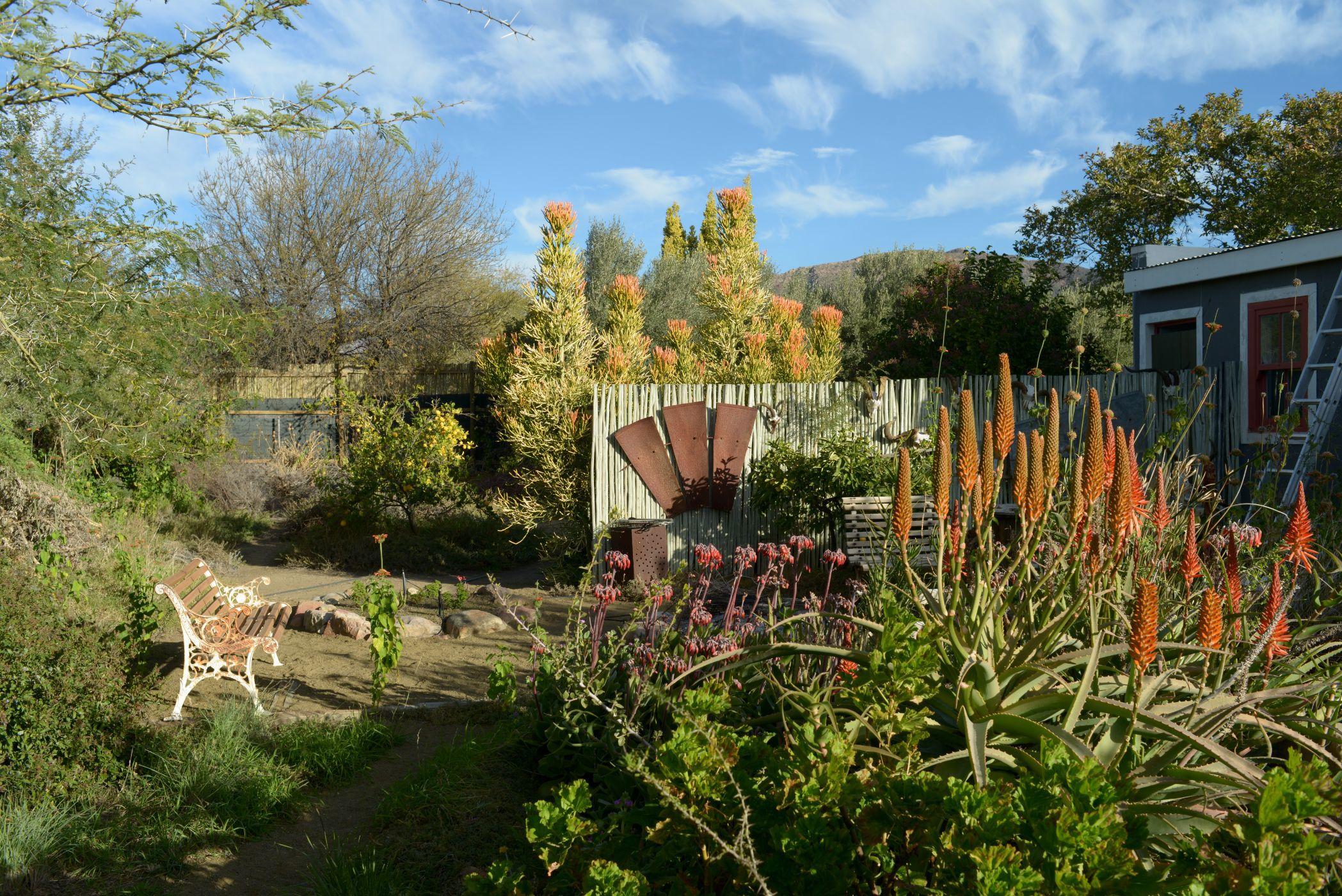 Image 41