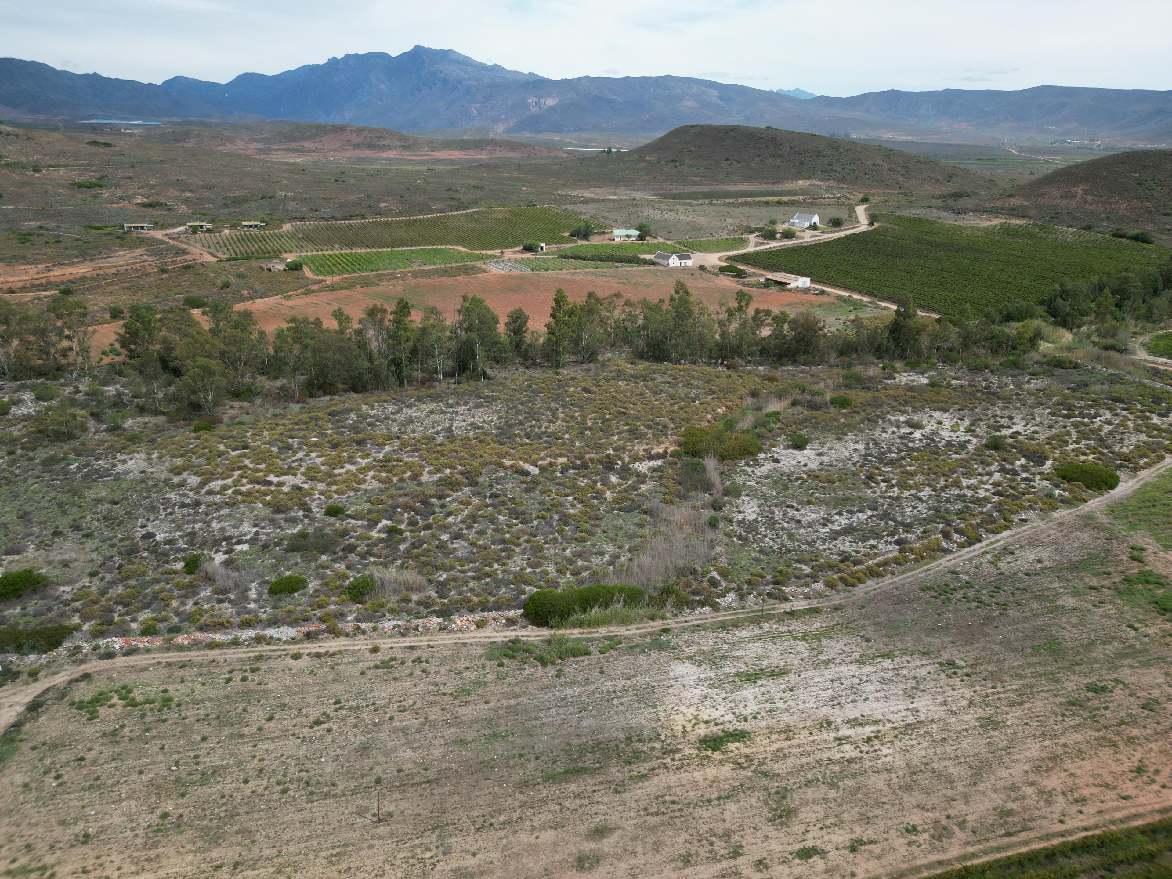 Image 15