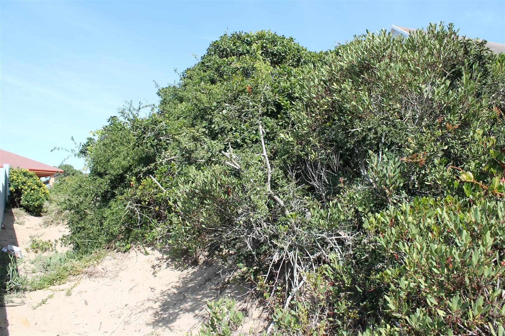 Image 14