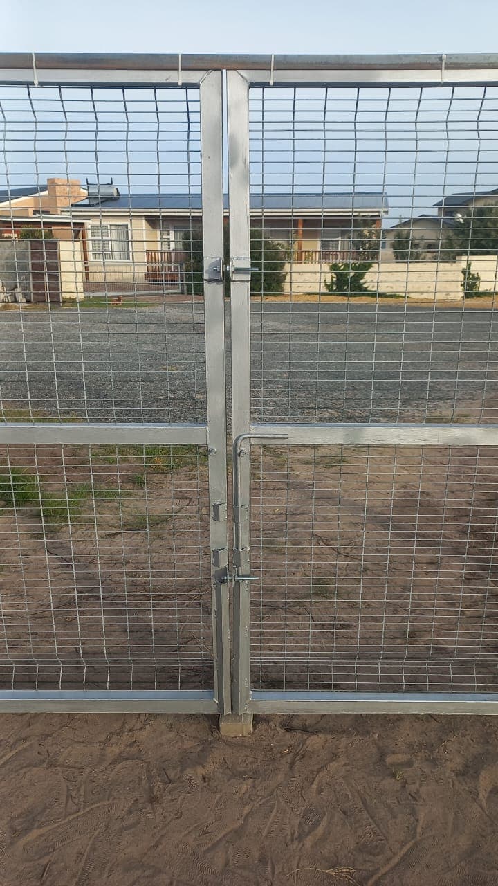 Image 8