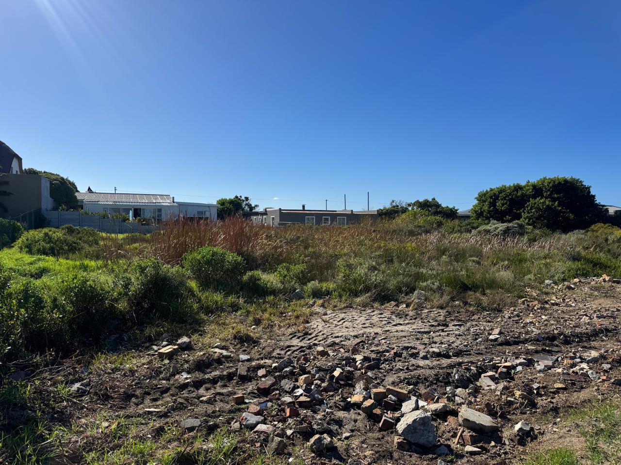 Image 8